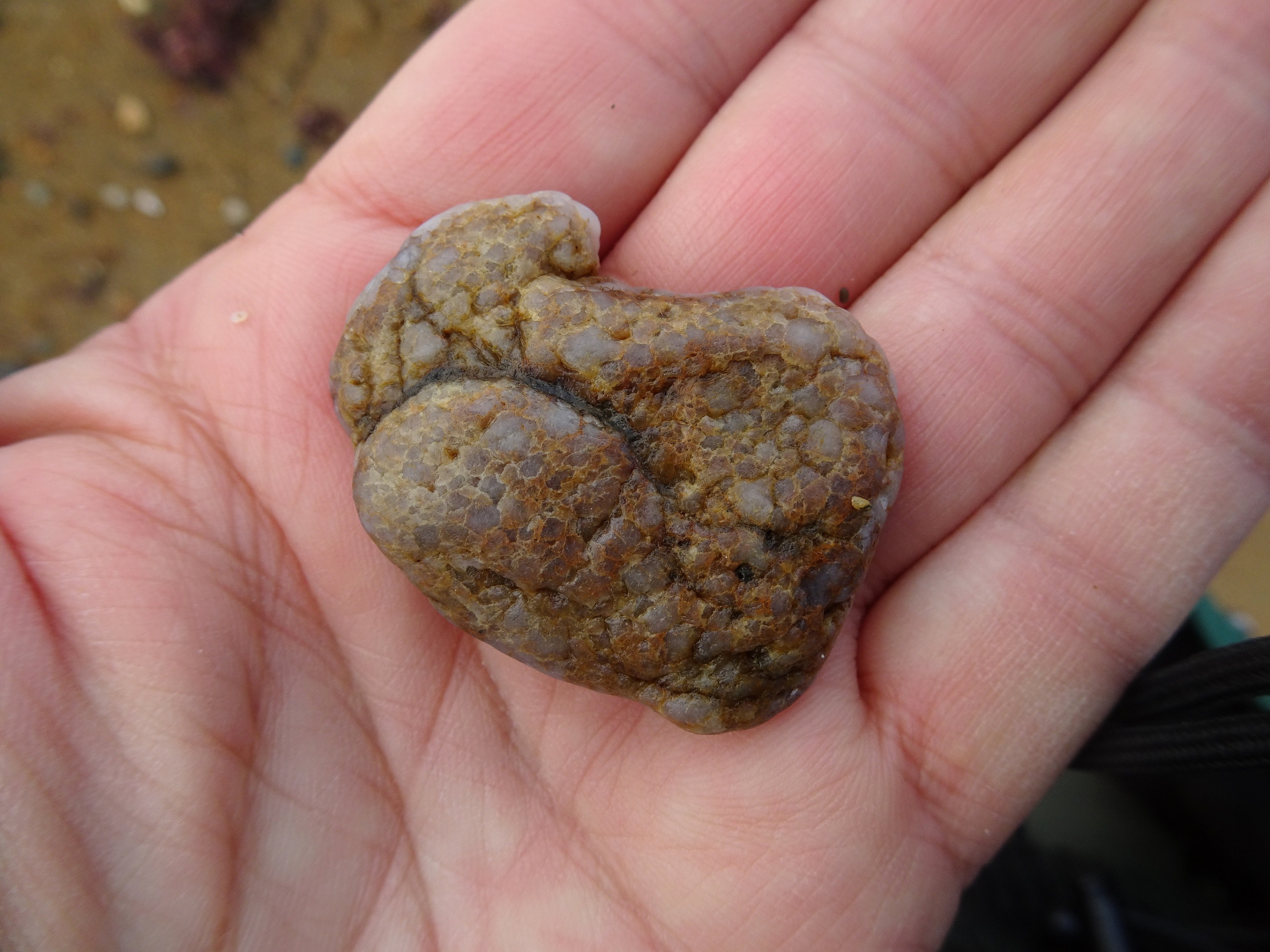 Stone 5 - conglomerate of some kind?