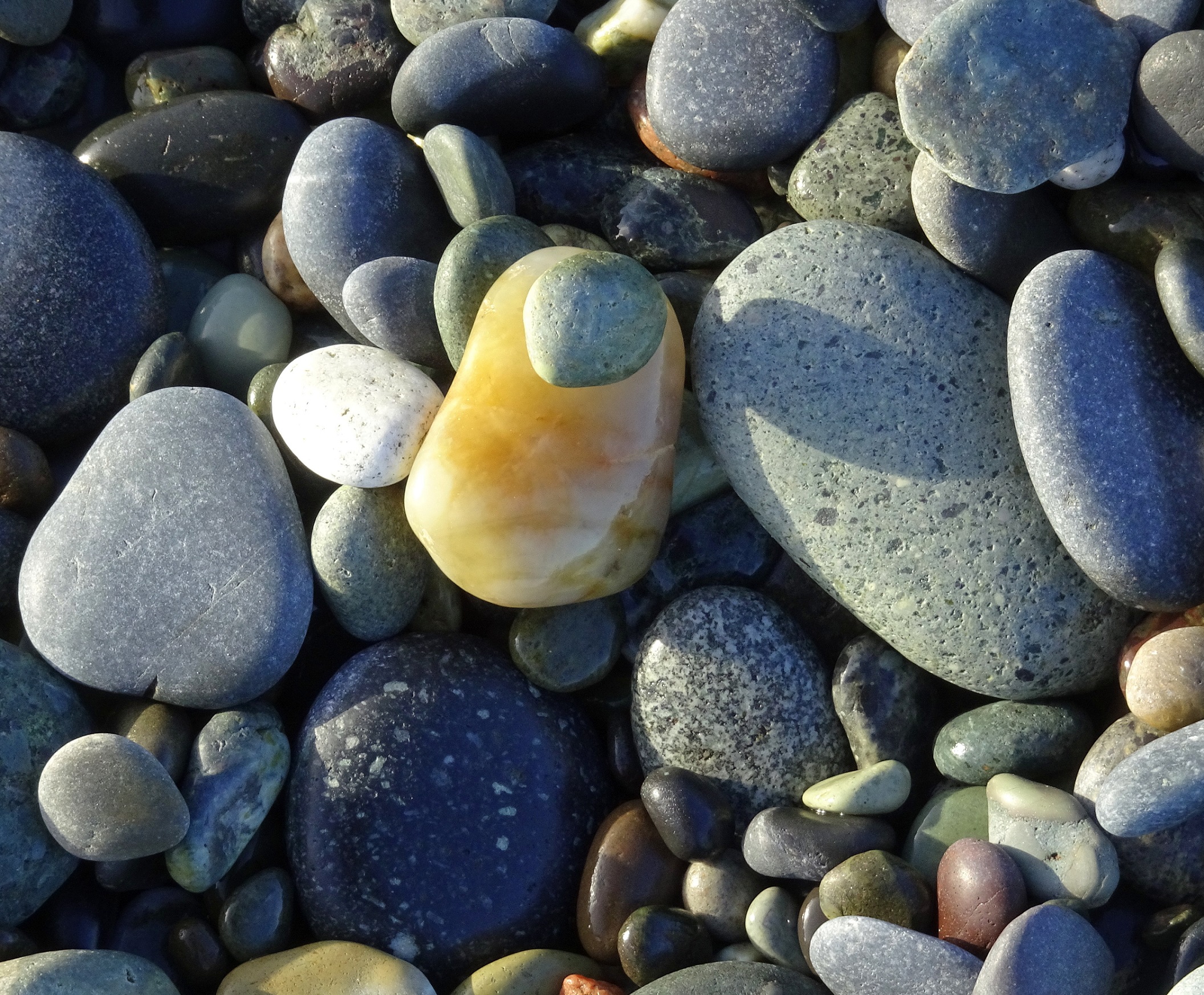 It shone brightly among the other dry dull stones.