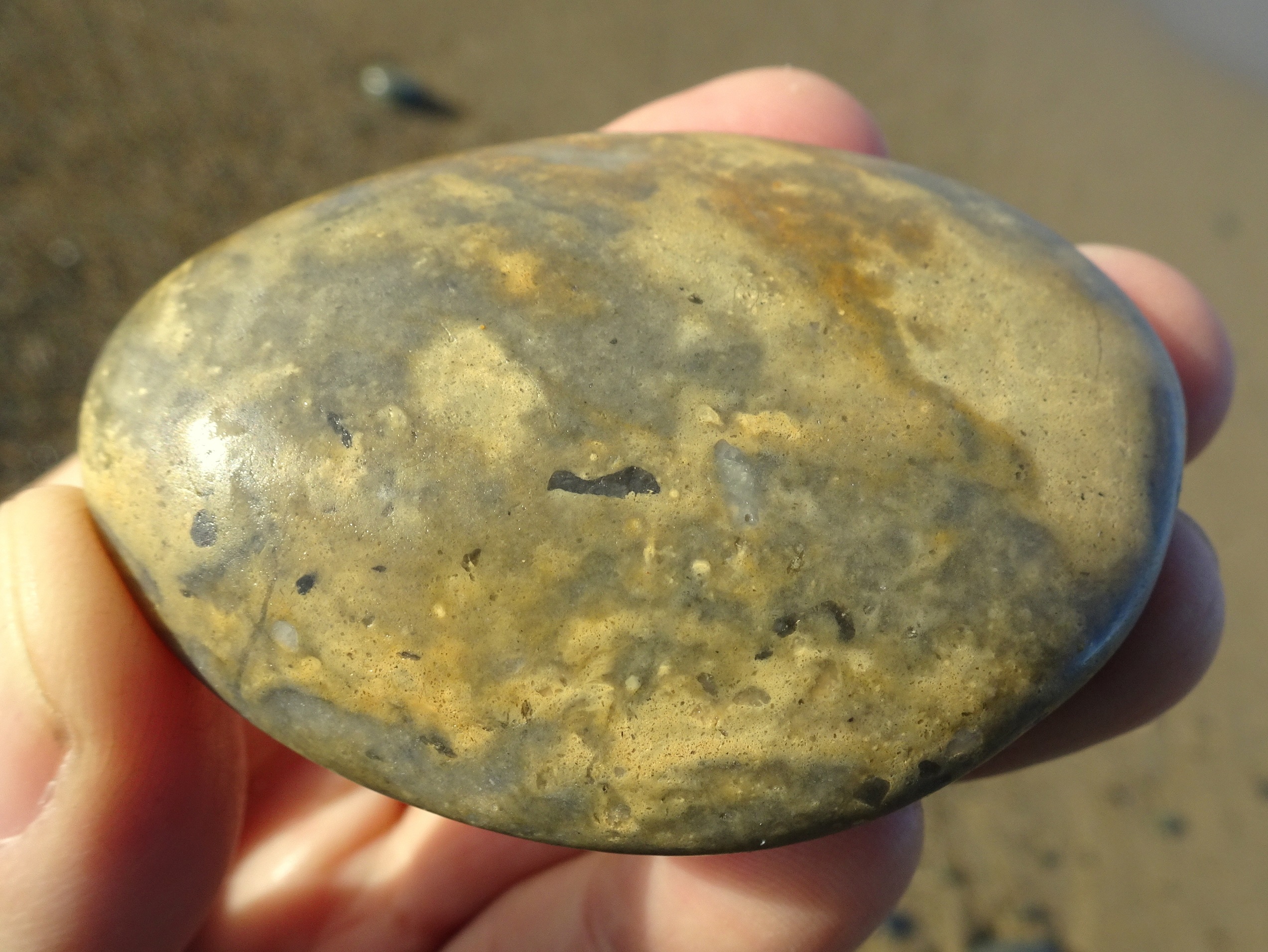 There are lots of gorgeous yellow quartzites (and their variations) on this beach, and I worked hard to be selective. I decided to pocket this one because it is unusual to see the darker markings.