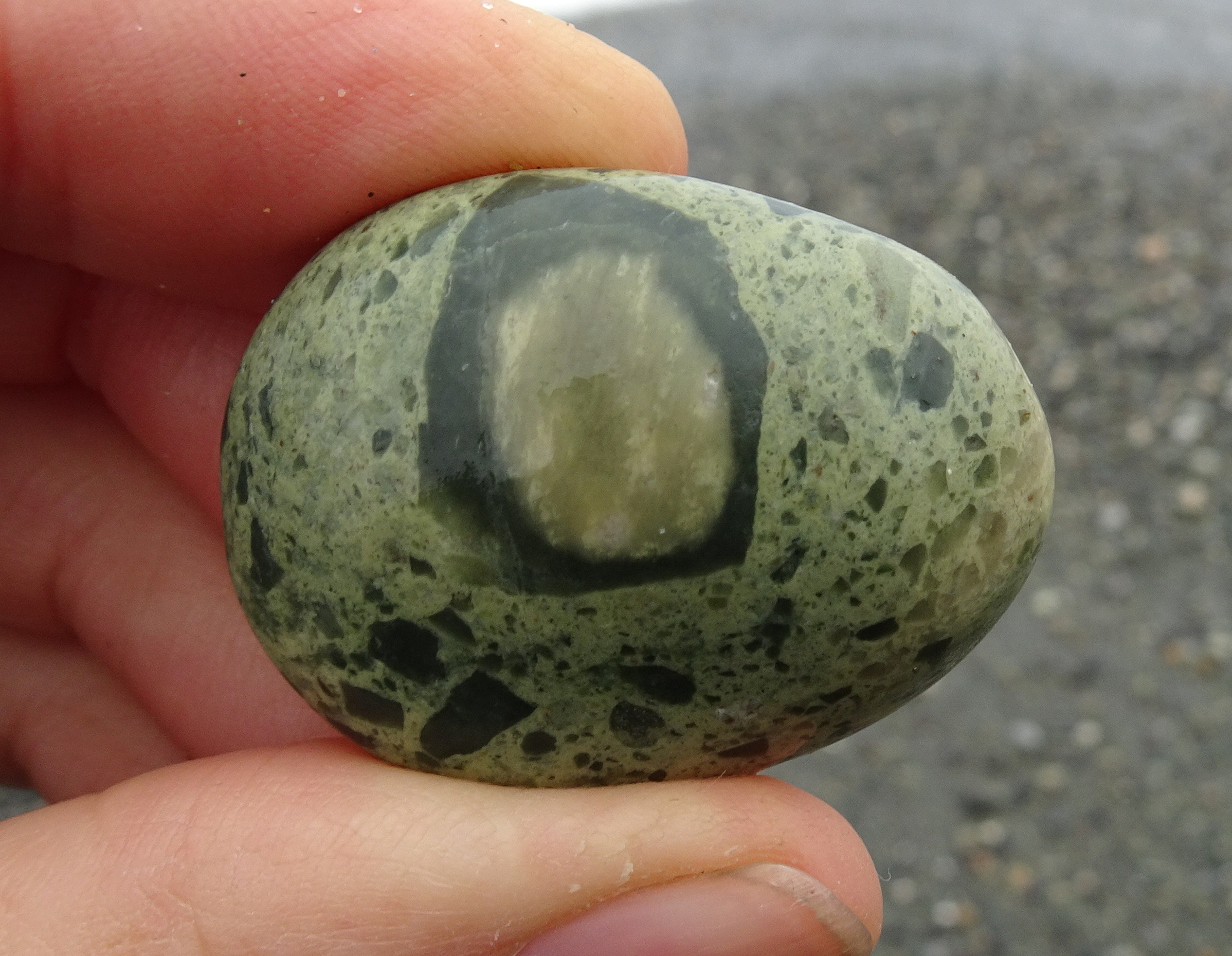 Unusual relatively-large inclusion in this small stone.