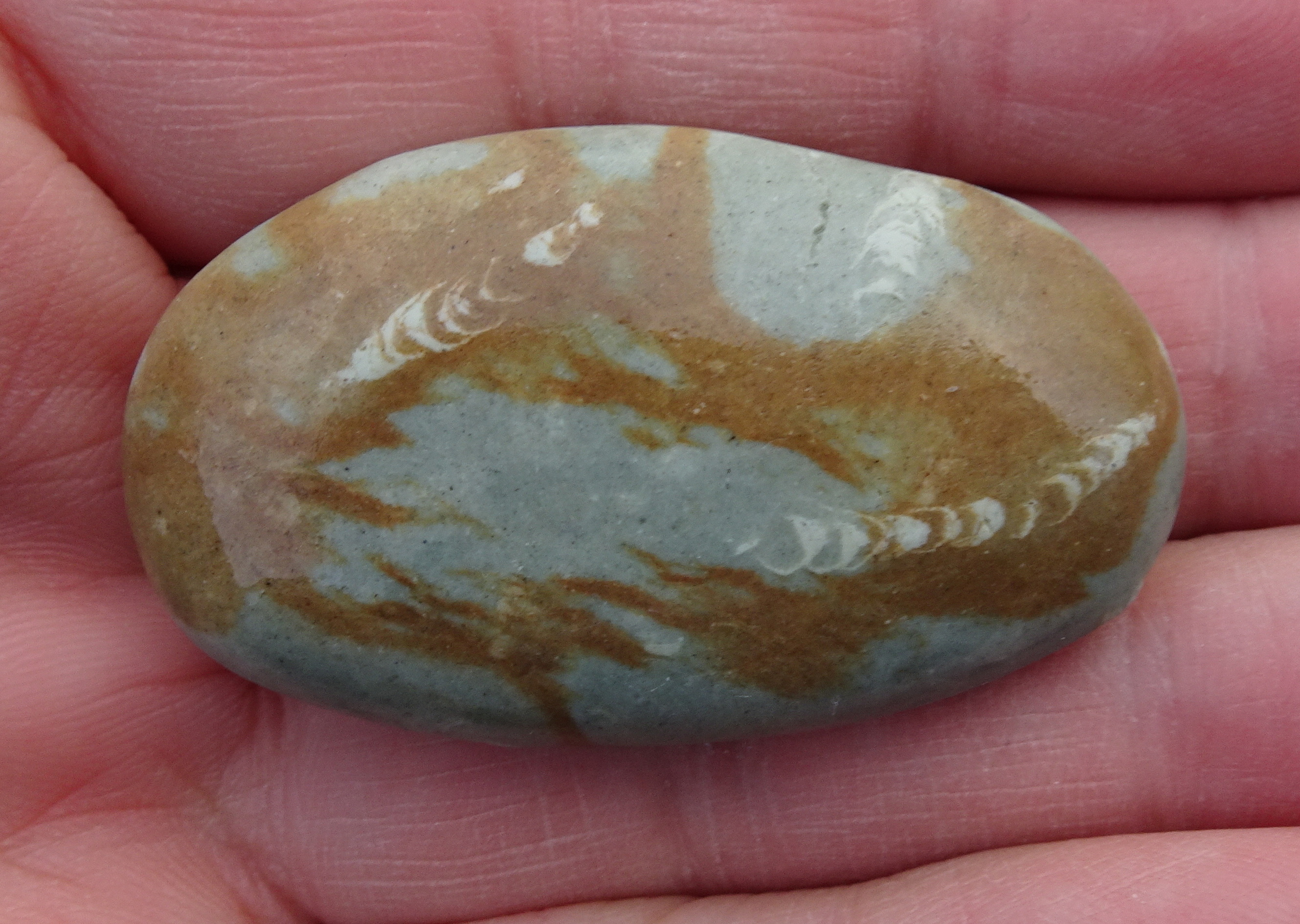 Trace fossil stone, with iron staining.
