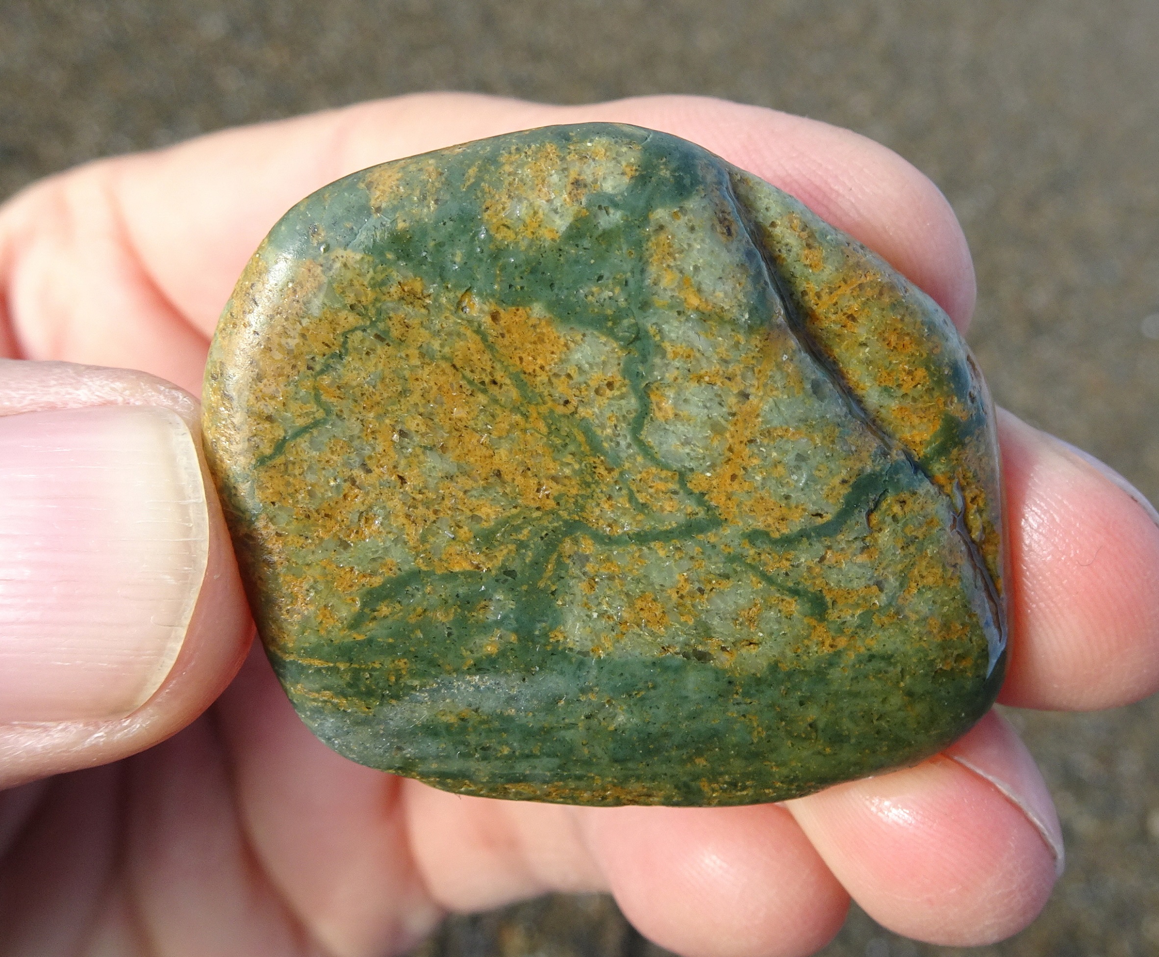 I was attracted by the green markings on this stone. It was only when examining the photos that I realised this too is a quartzite.