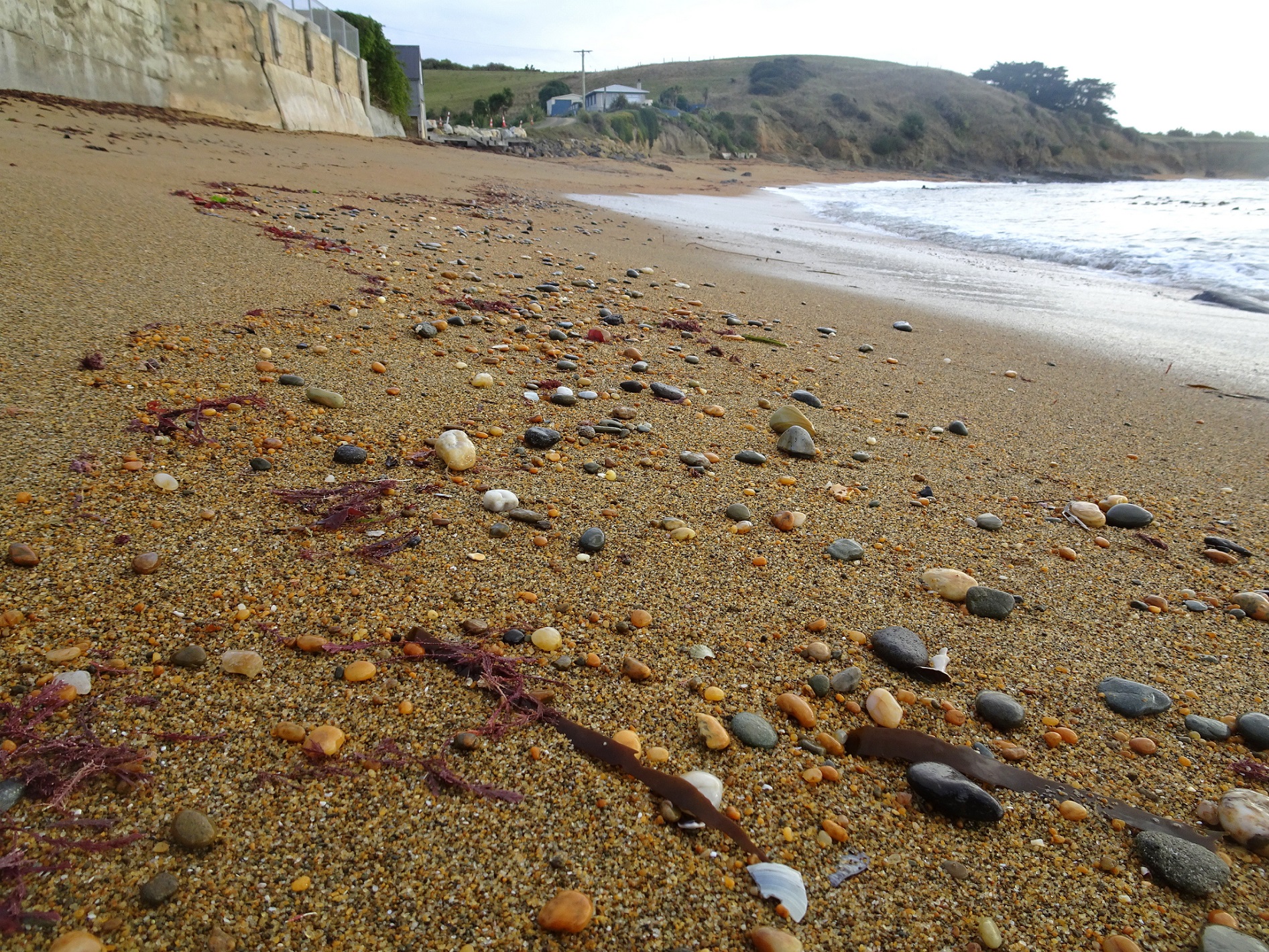 The small beach near Moeraki Village.