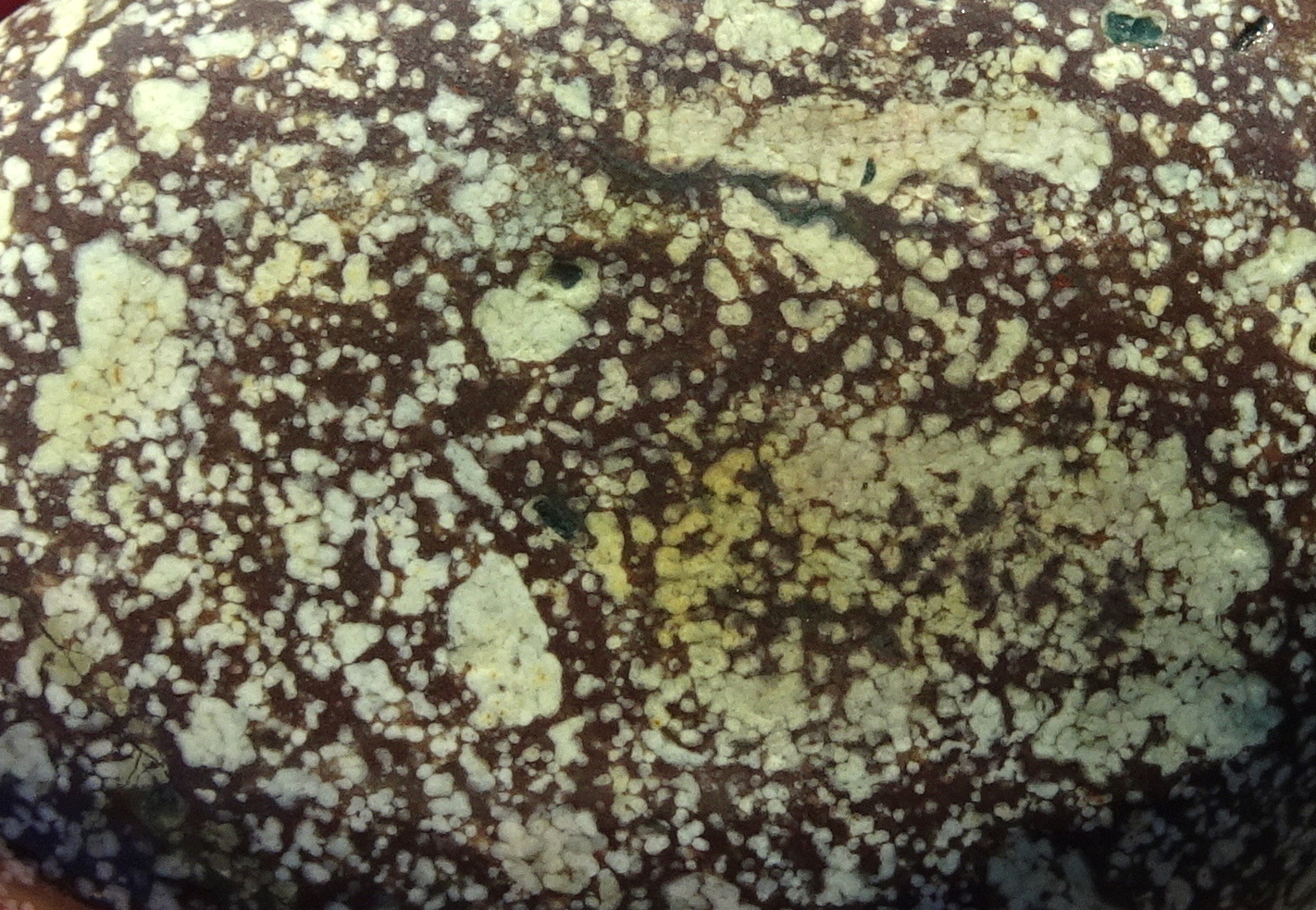 20zz