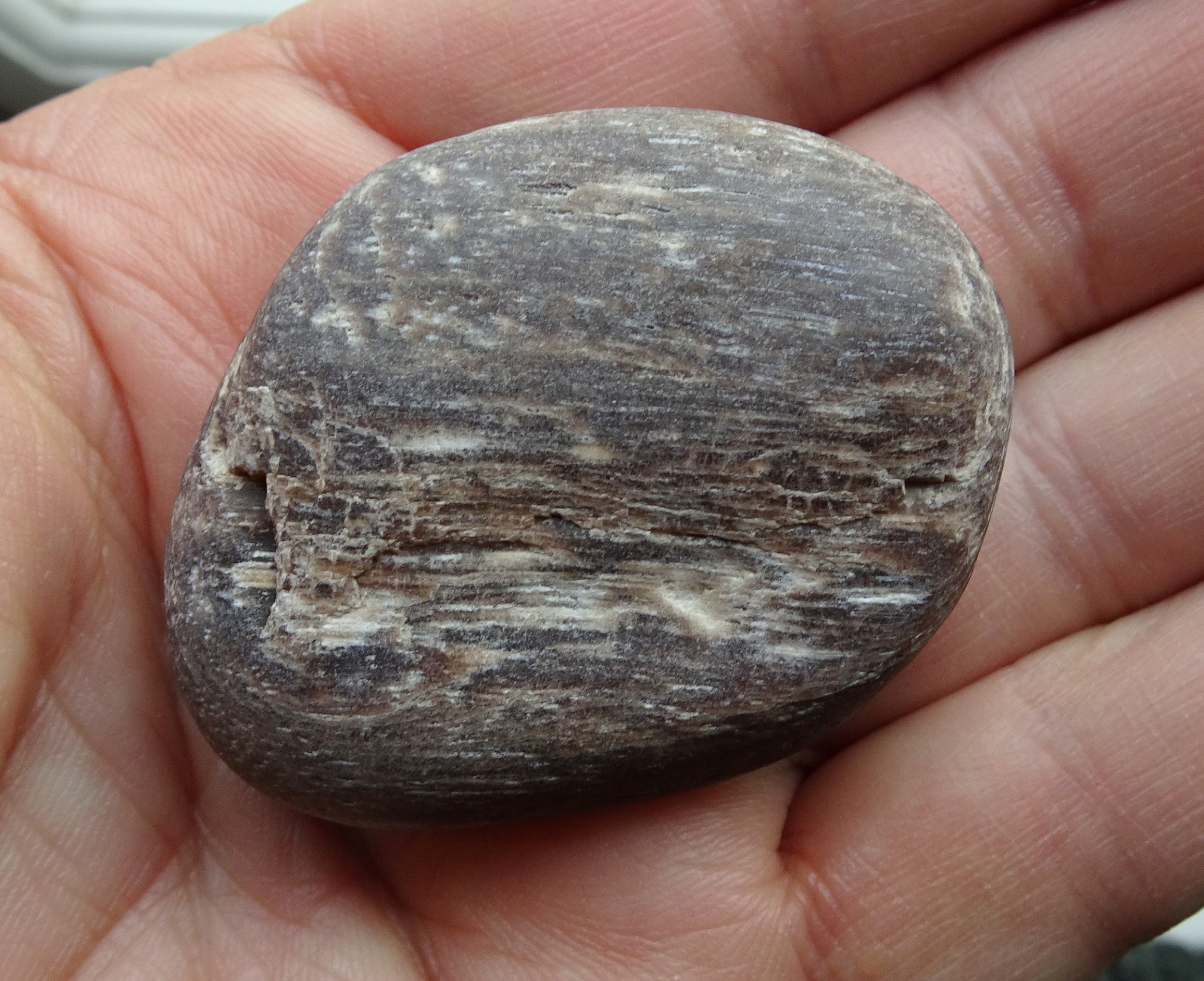 Possibly petrified wood - dry.