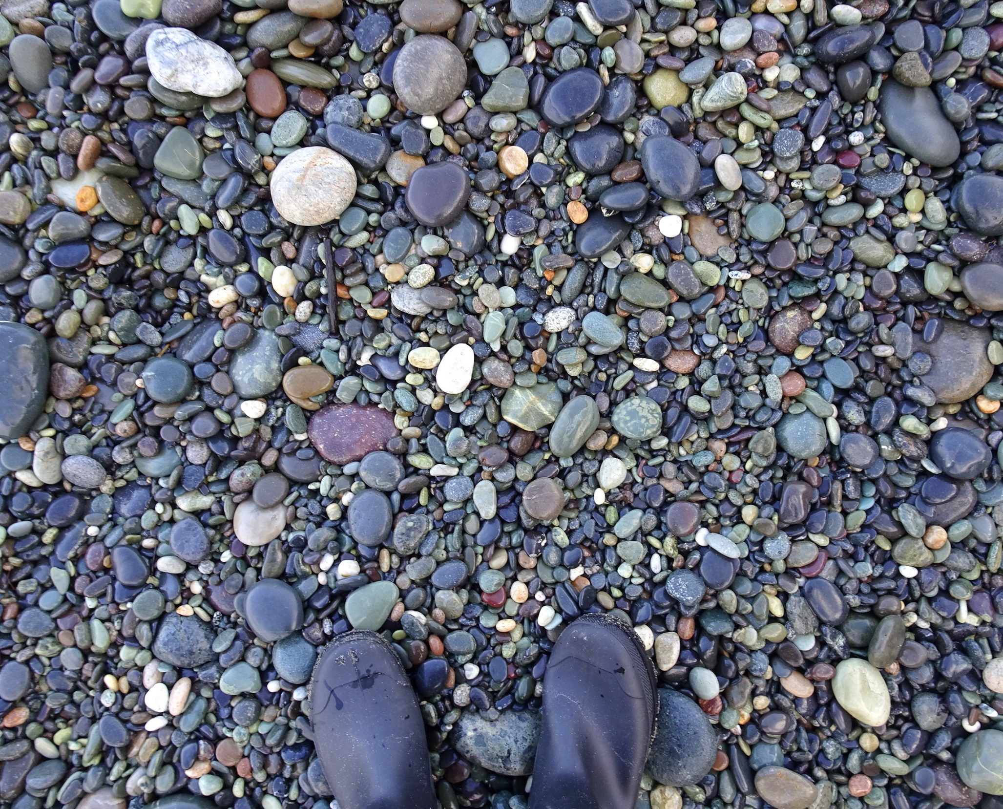Today's segment of Gemstone Beach stones.