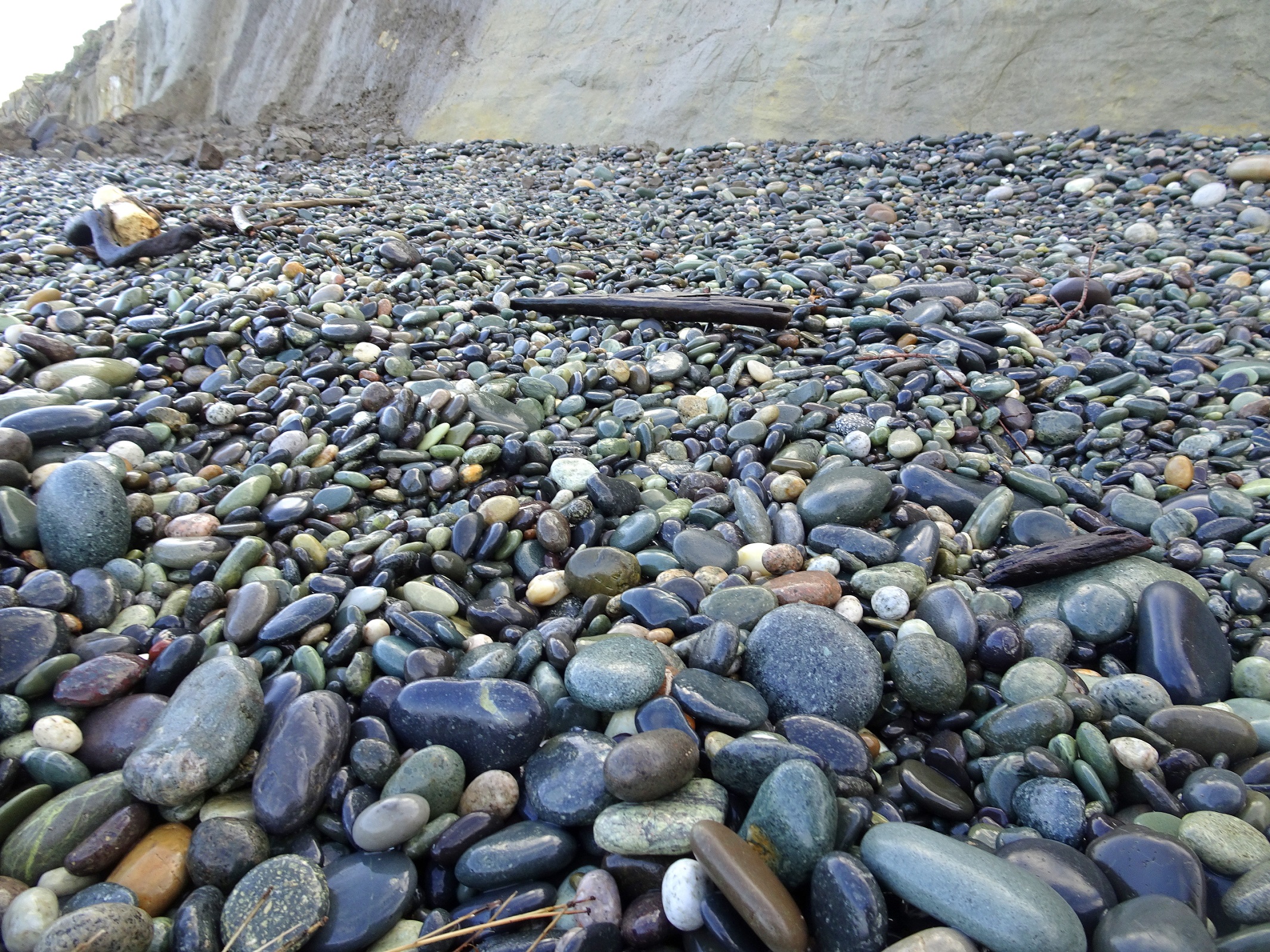 Looking towards the back of the beach, towards the cliff.