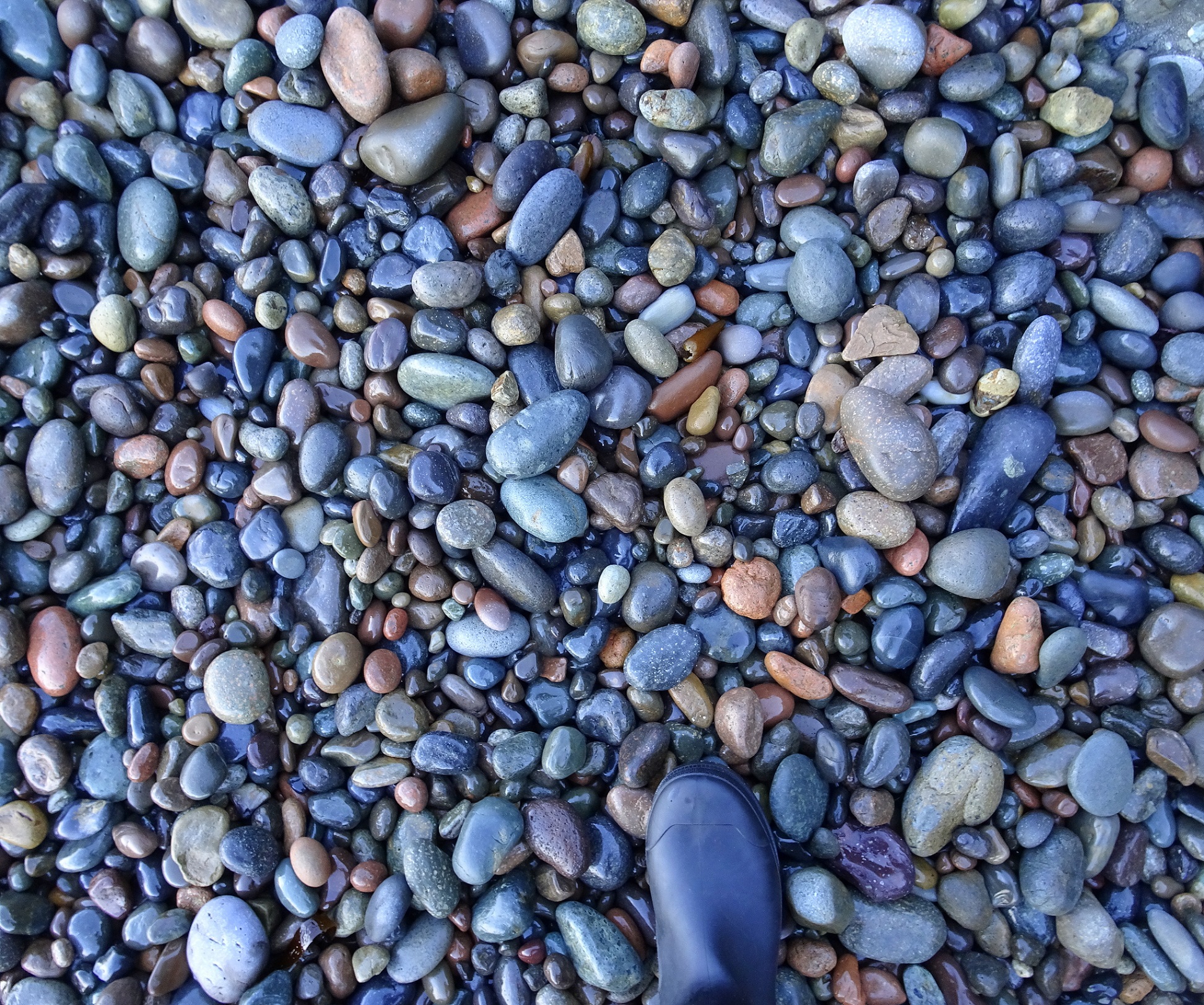 The stones on a shaded Slope Point beach.