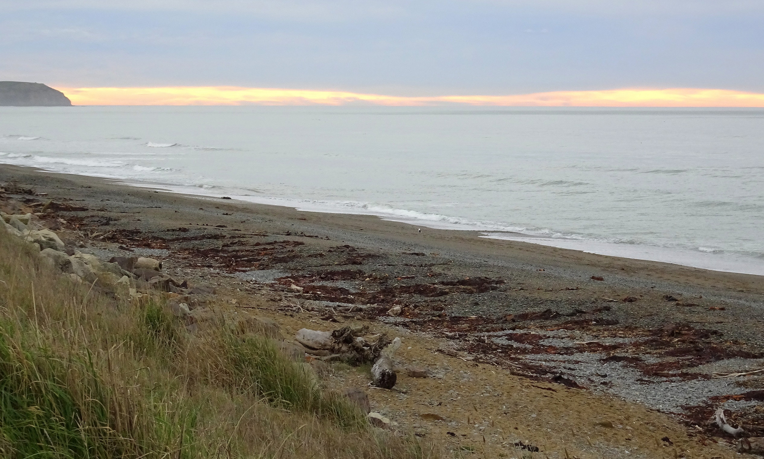 The beach near Kakanui when I arrived this morning.