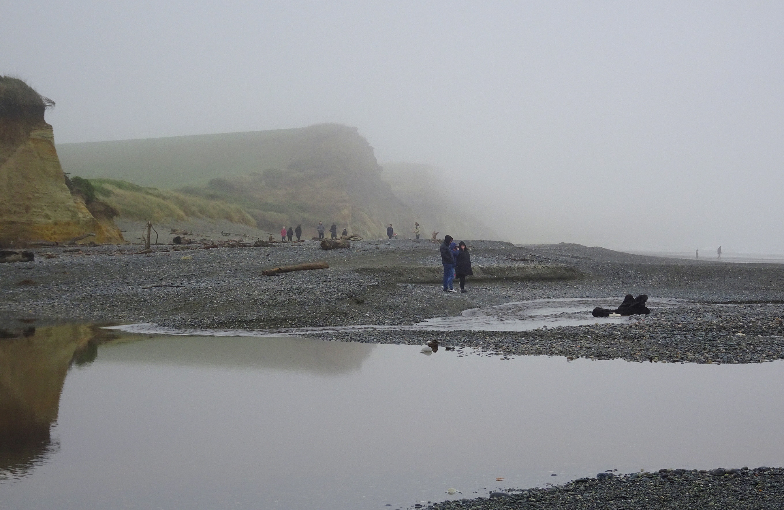 Noon on a foggy winter Sunday at Gemstone Beach.