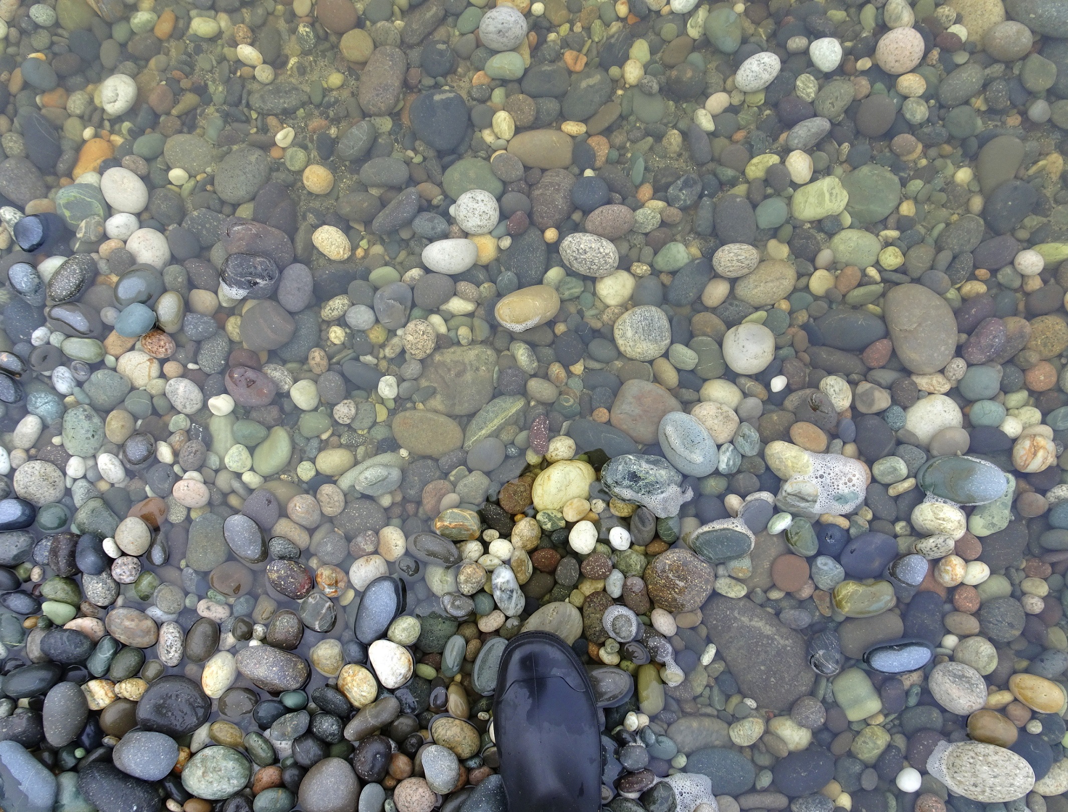 On the edge of Taunoa Stream.