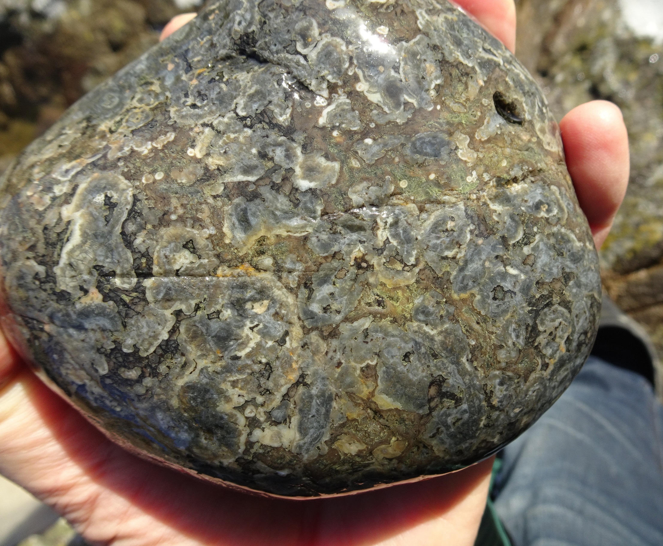 Oliver's stone. (He collects larger ones than I do.)