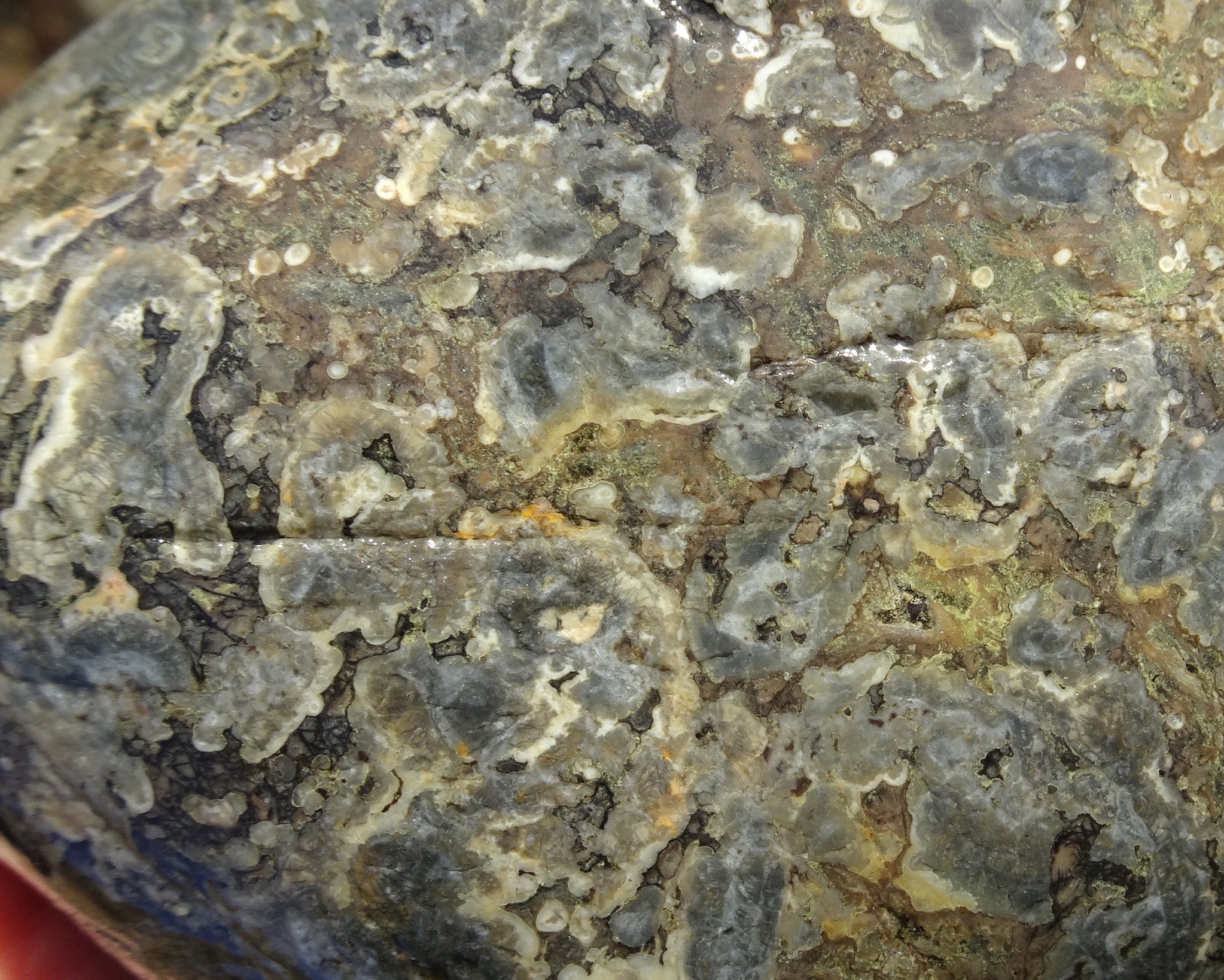 Close-up.