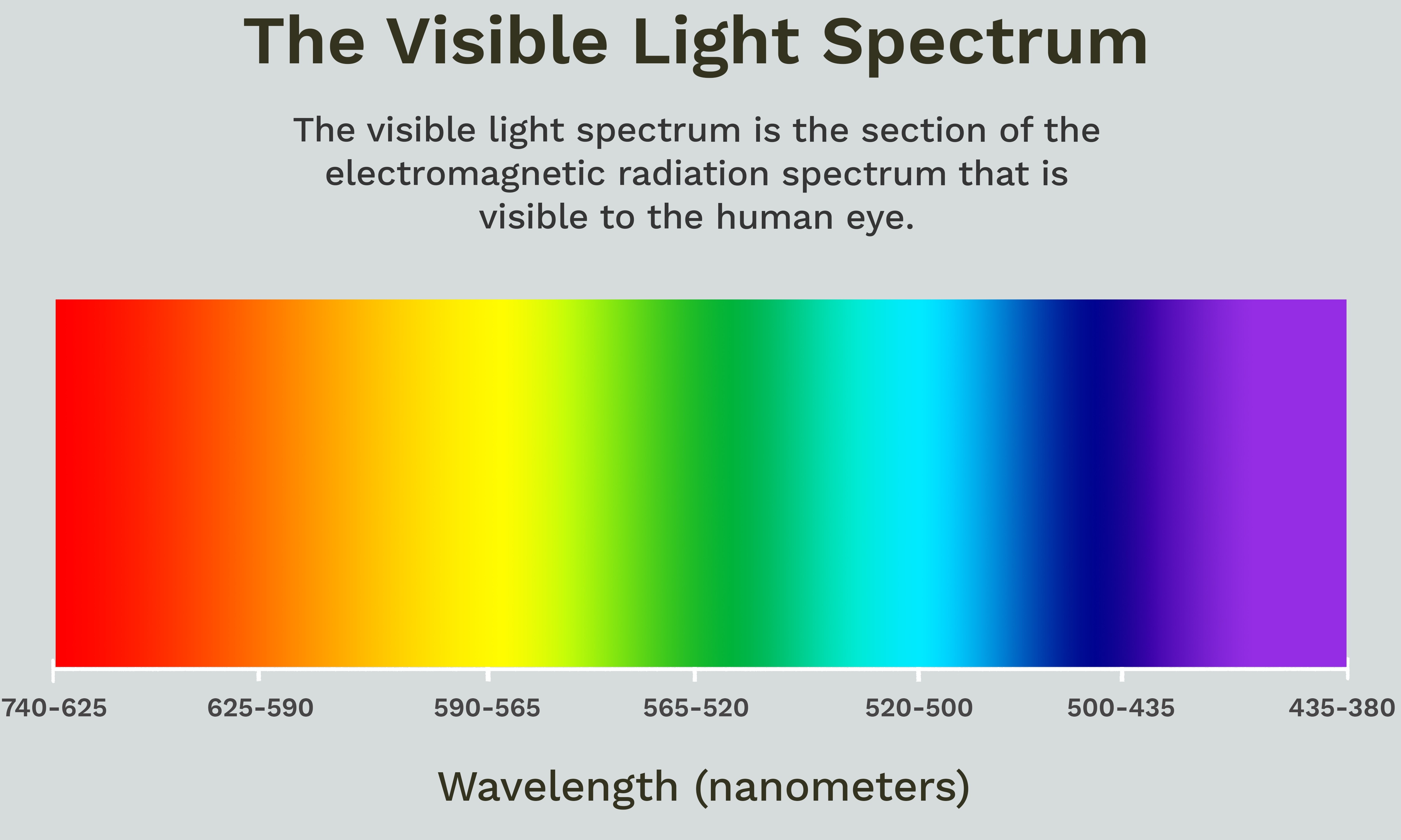 The visible light spectrum. Source: www.thoughtco.com/the-visible-light-spectrum-2699036