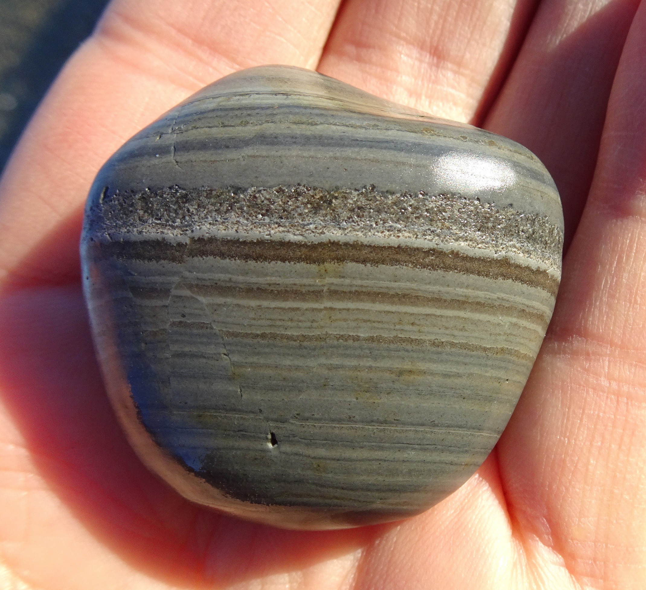 Banded argillite.