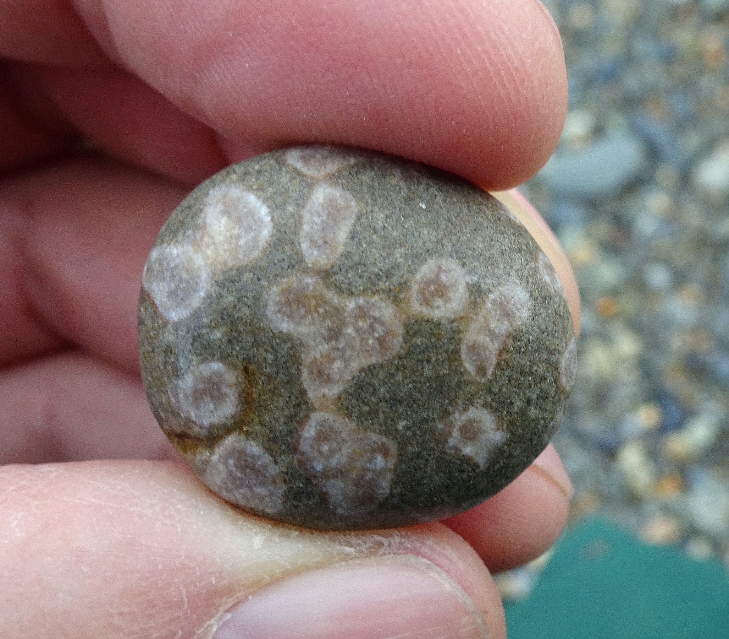 Small but interesting stone, side A.