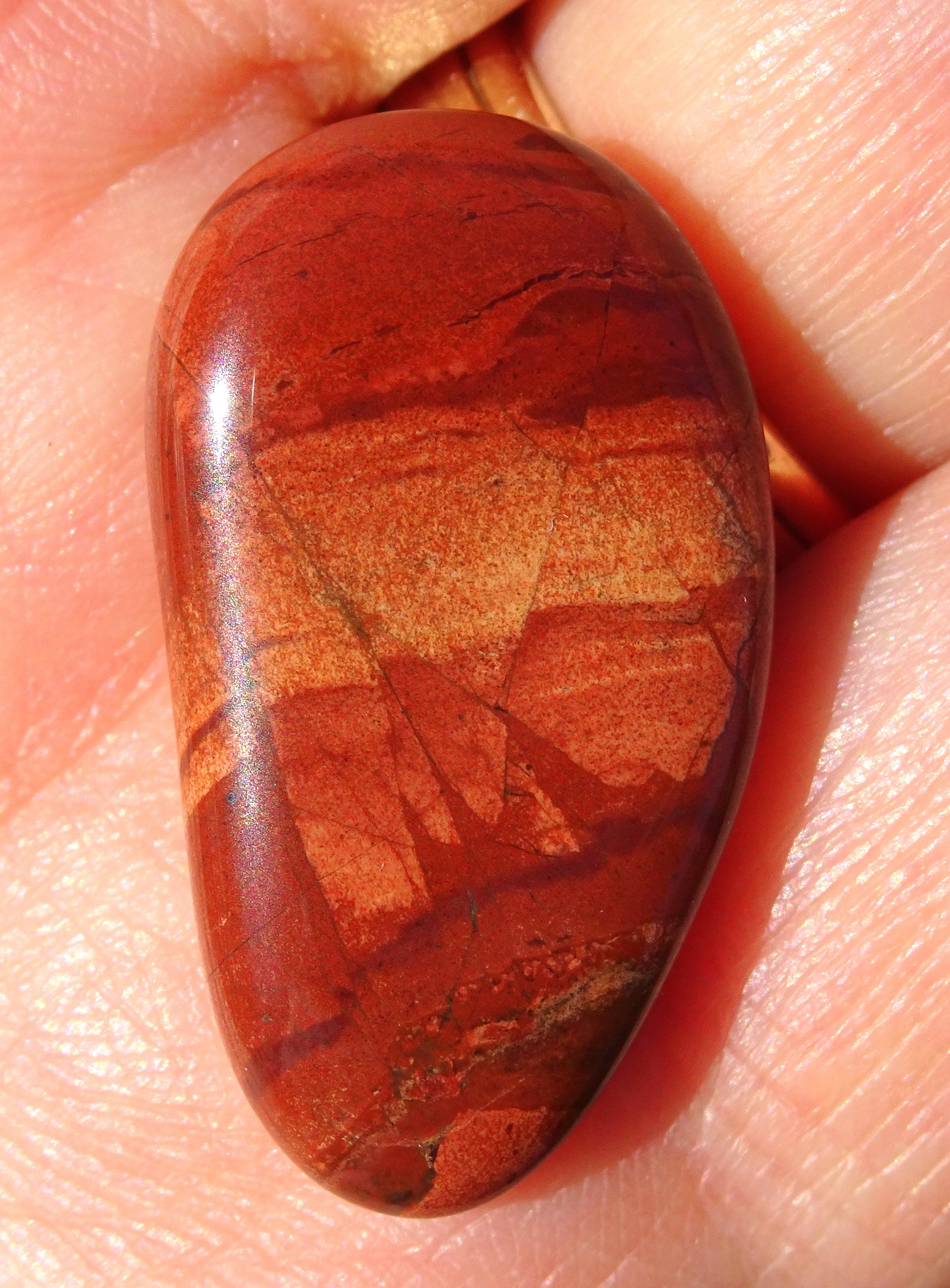 J is for (Picture) Jasper