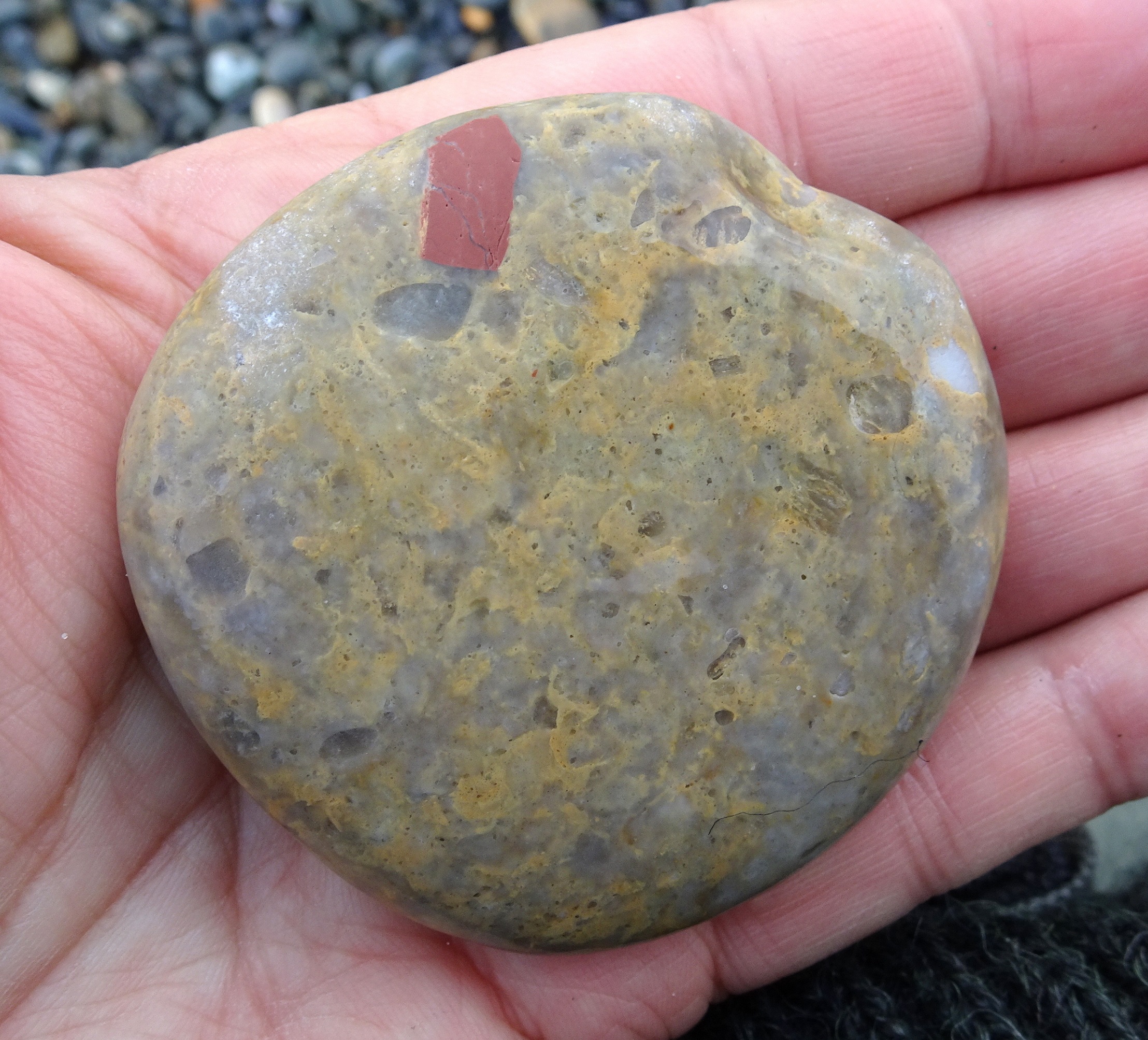 Quartzite with unusual jasper-like inclusion.