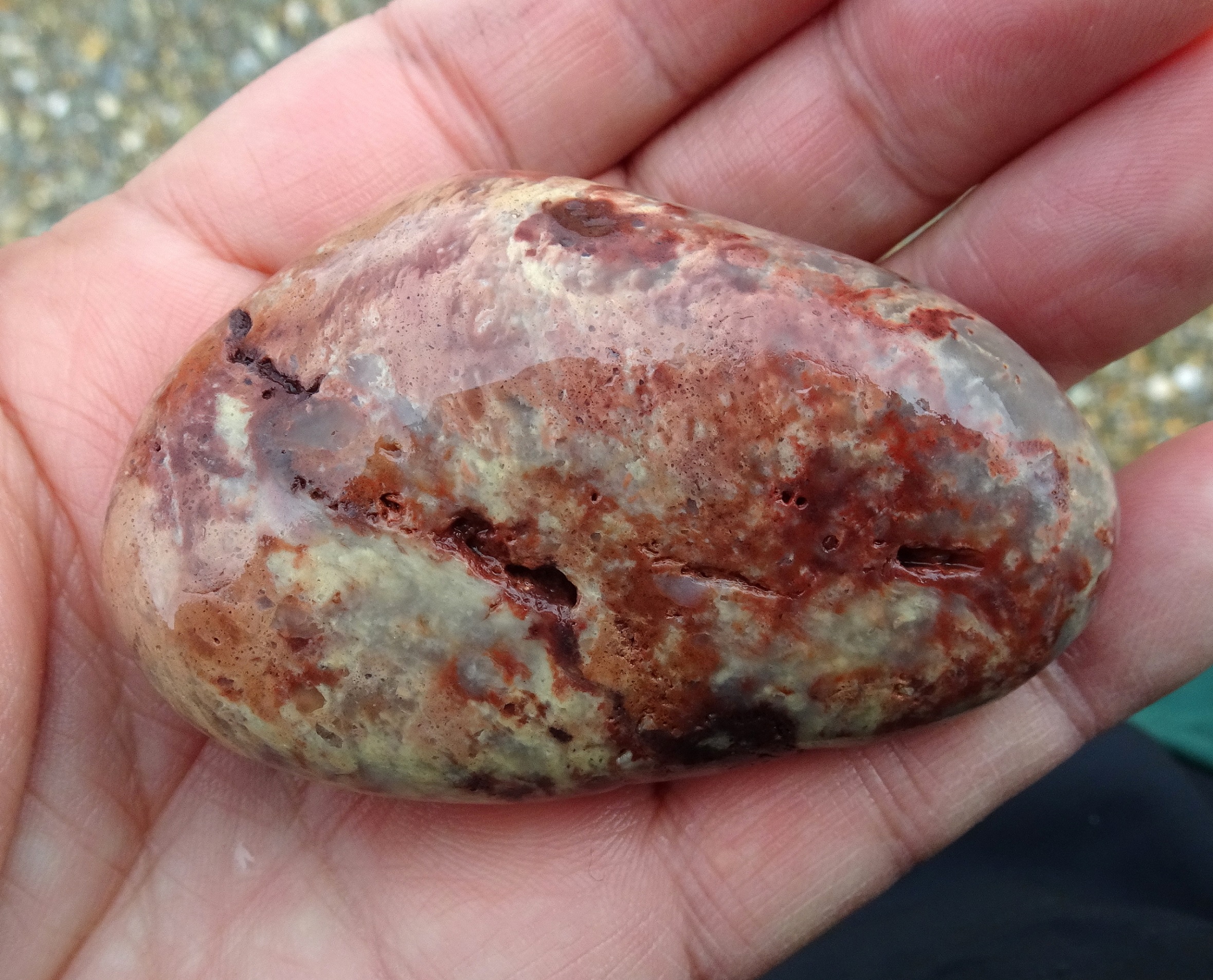 Quartzite, not a tumble-polishing candidate but I couldn't walk past the bright colours.