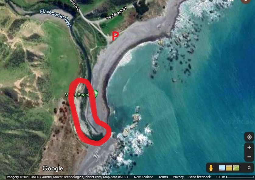 Ward Beach, Google Maps. P = Carpark. Most of my fossicking today was up the Flaxbourne River in the area circled in red.