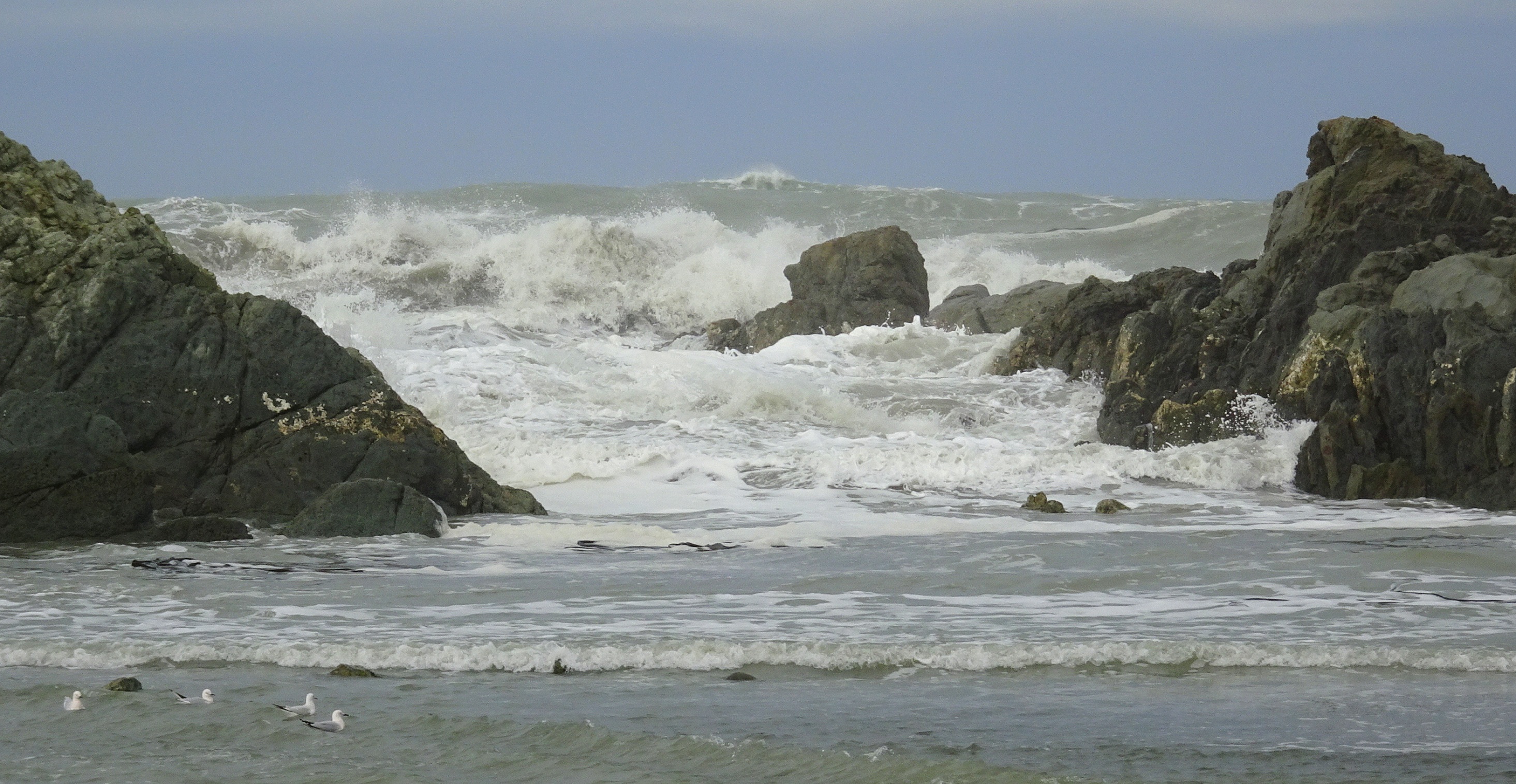 Heavy swell today at Ward Beach.