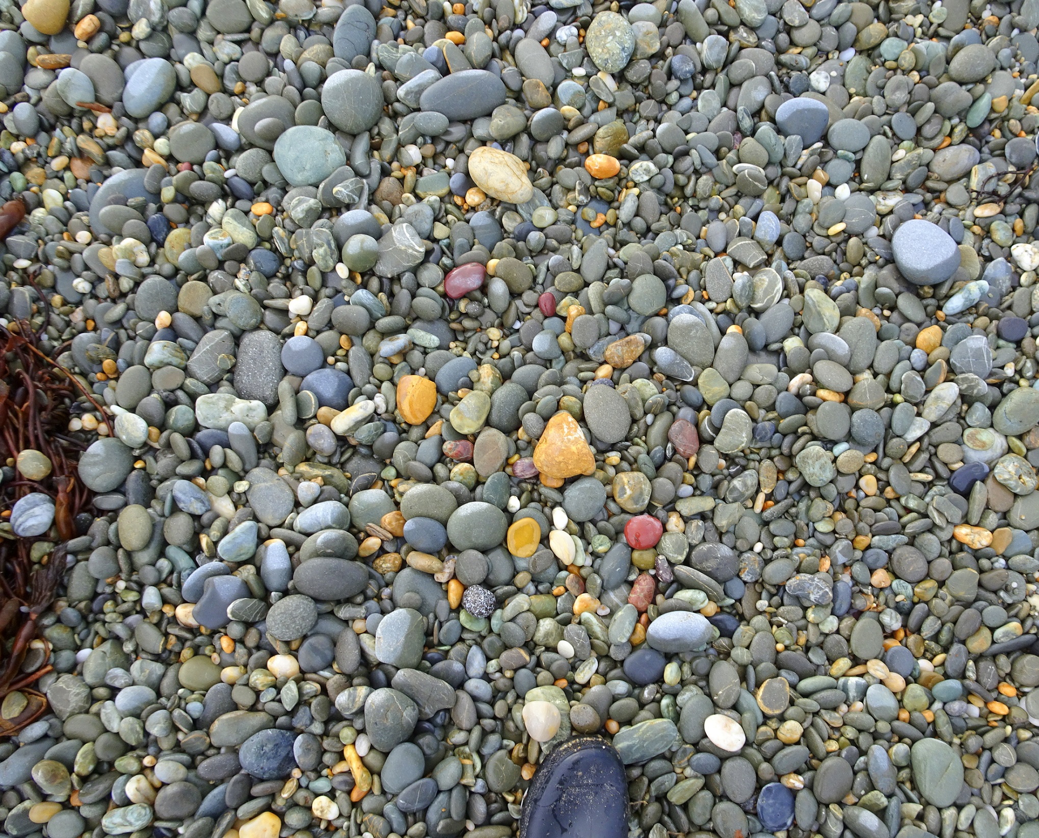 I collected a few colourful stones from about two metres around this spot and added them to the shot.