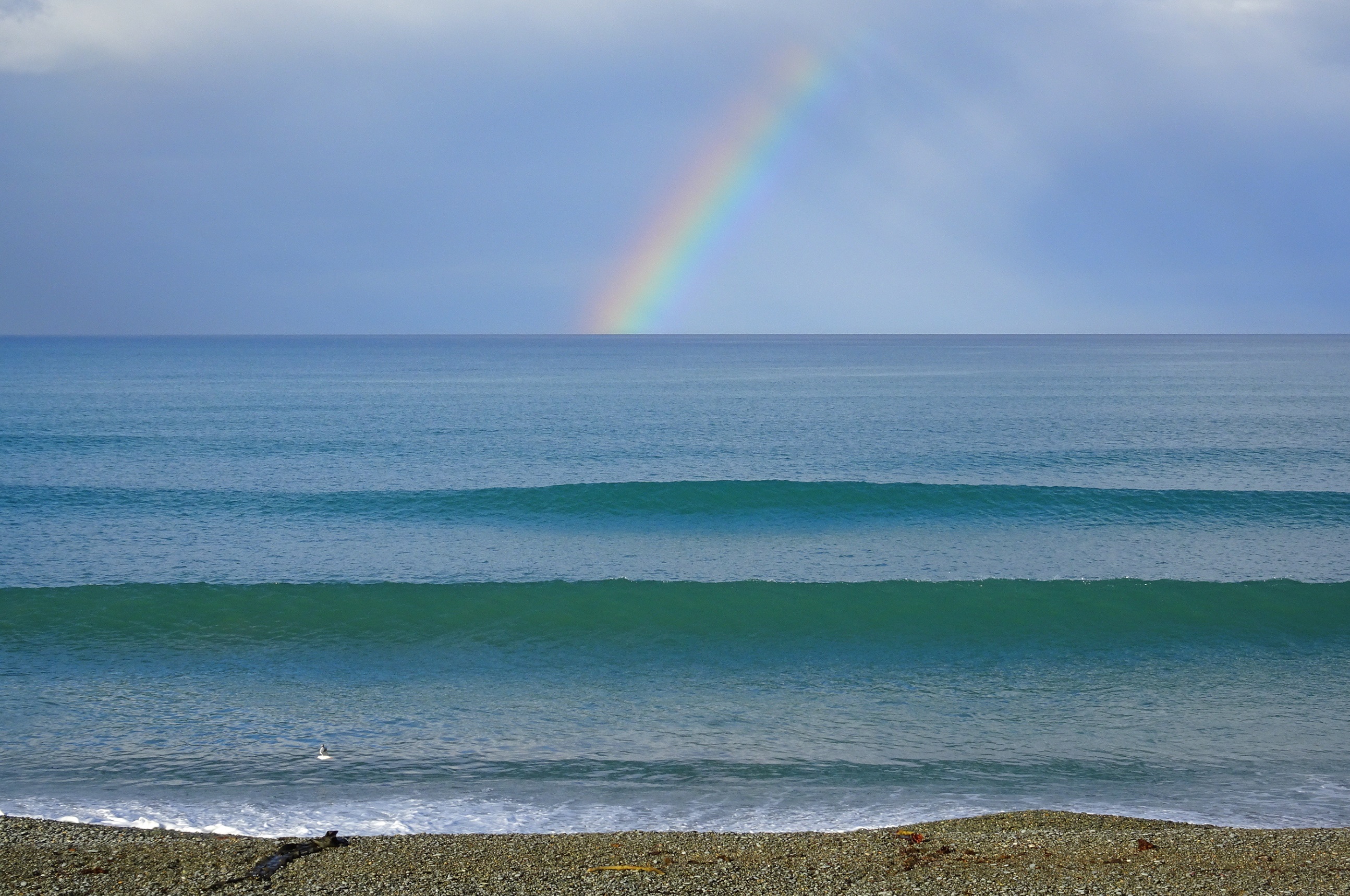 My last view of the beach near Kakanui.