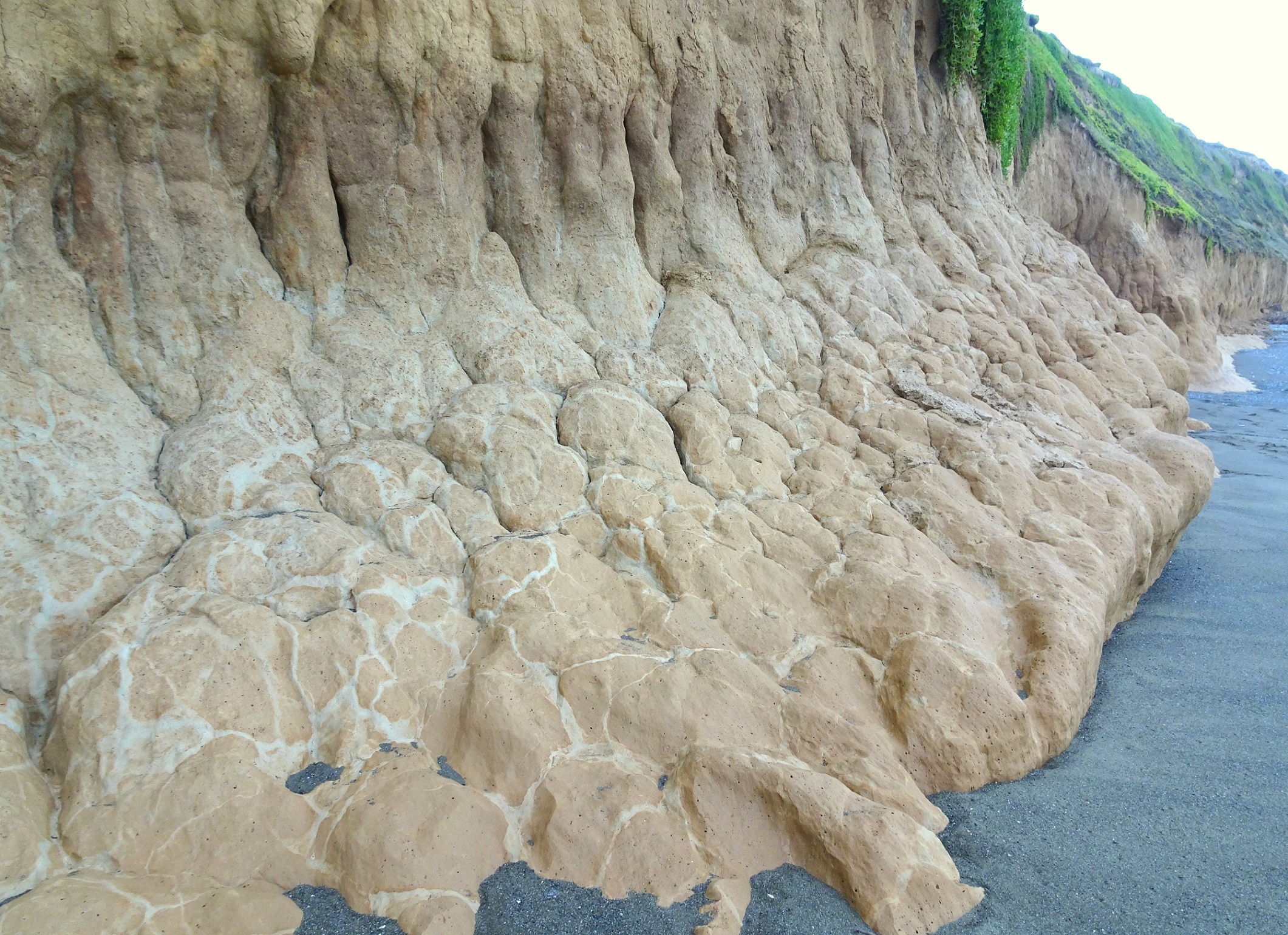 At the base of the eroding cliffs at this point on the beach.