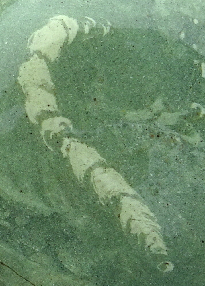 i2
