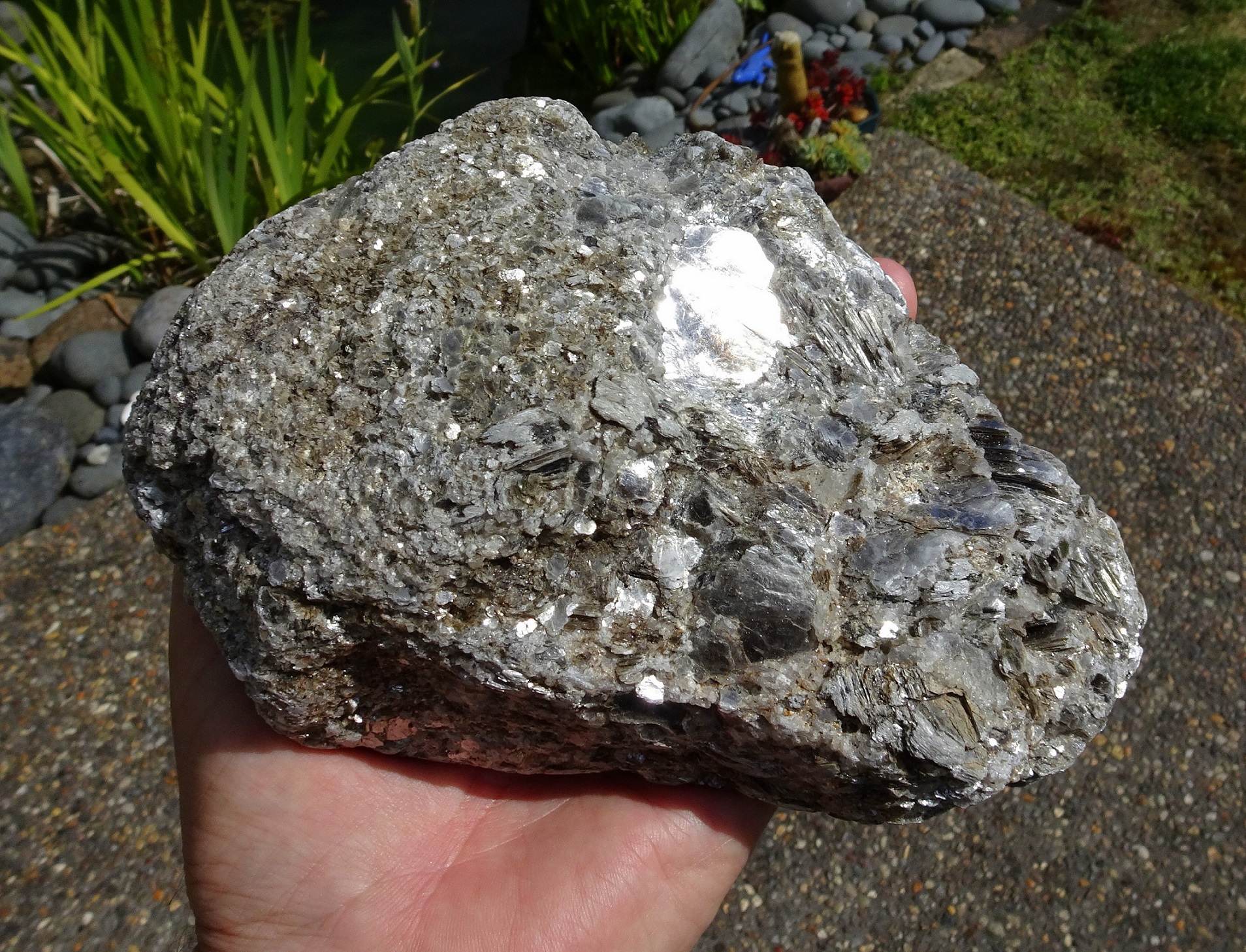 Found at Joyce Bay, this stone consists of at least 90% muscovite mica.
