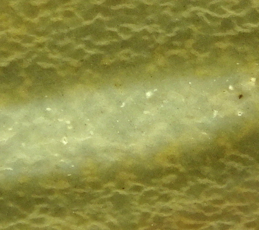 01bzz22