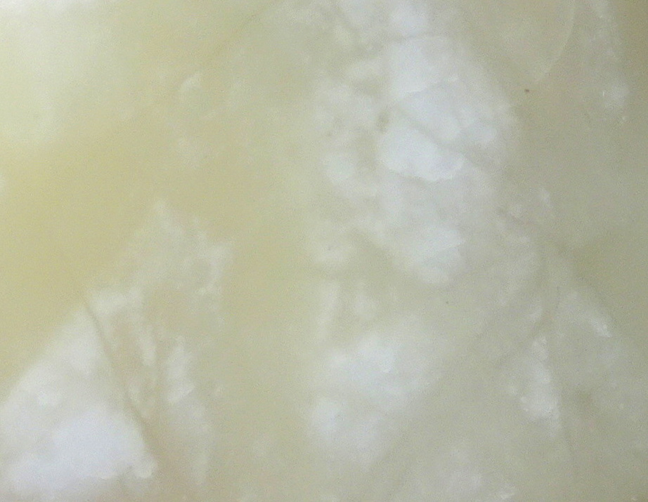 02kzz