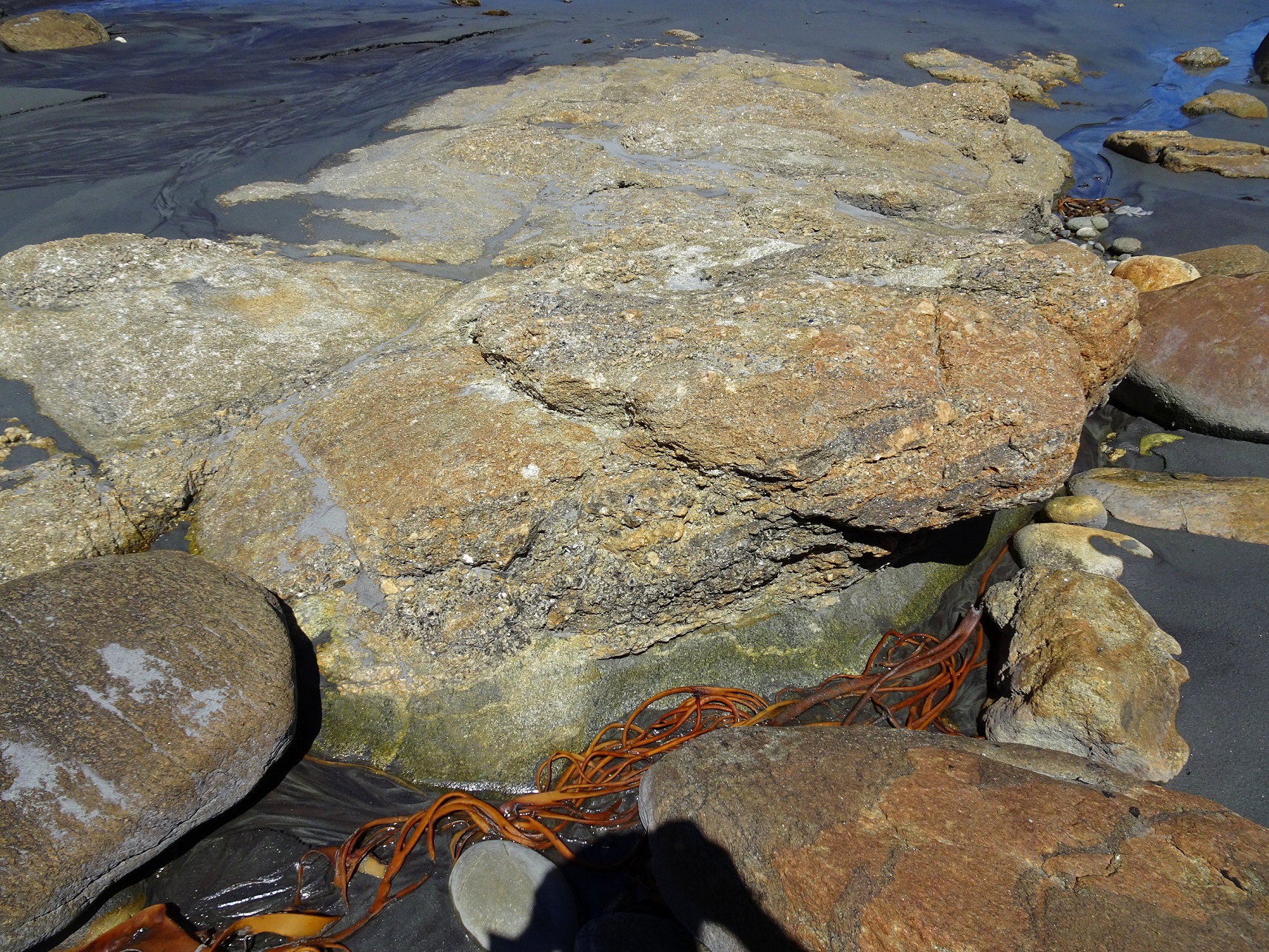 Part of a pegmatite in the two small bays.