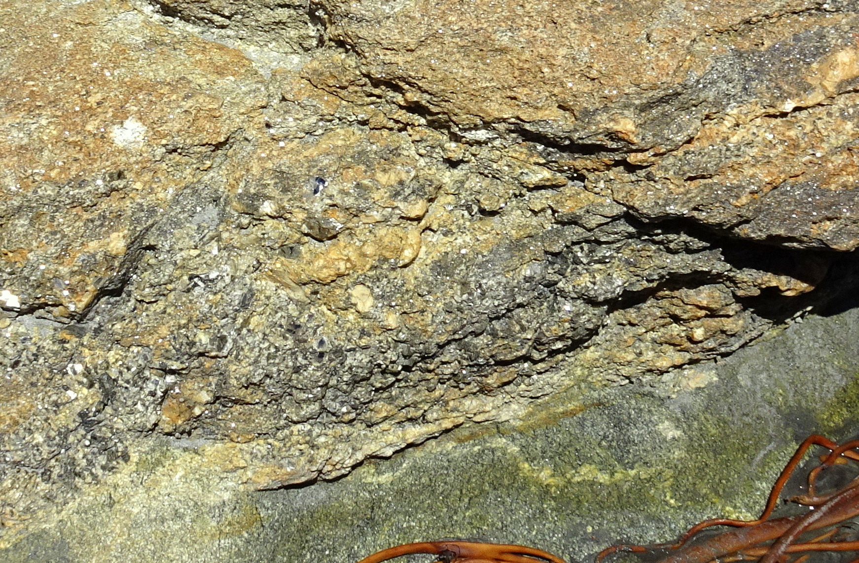 Close-up of pegmatite - lots of mica among the quartz!