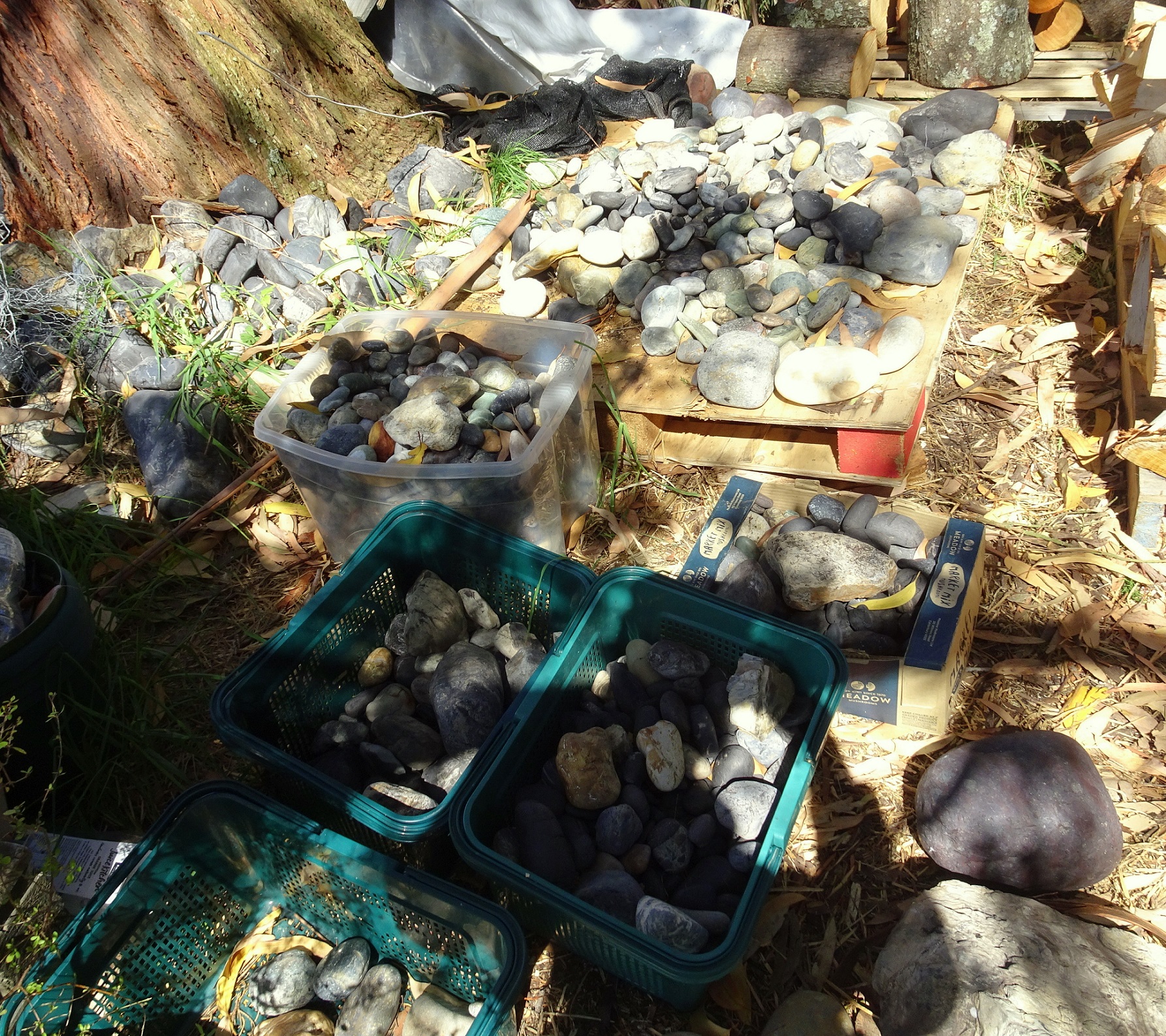 Some of Oliver's rock finds.