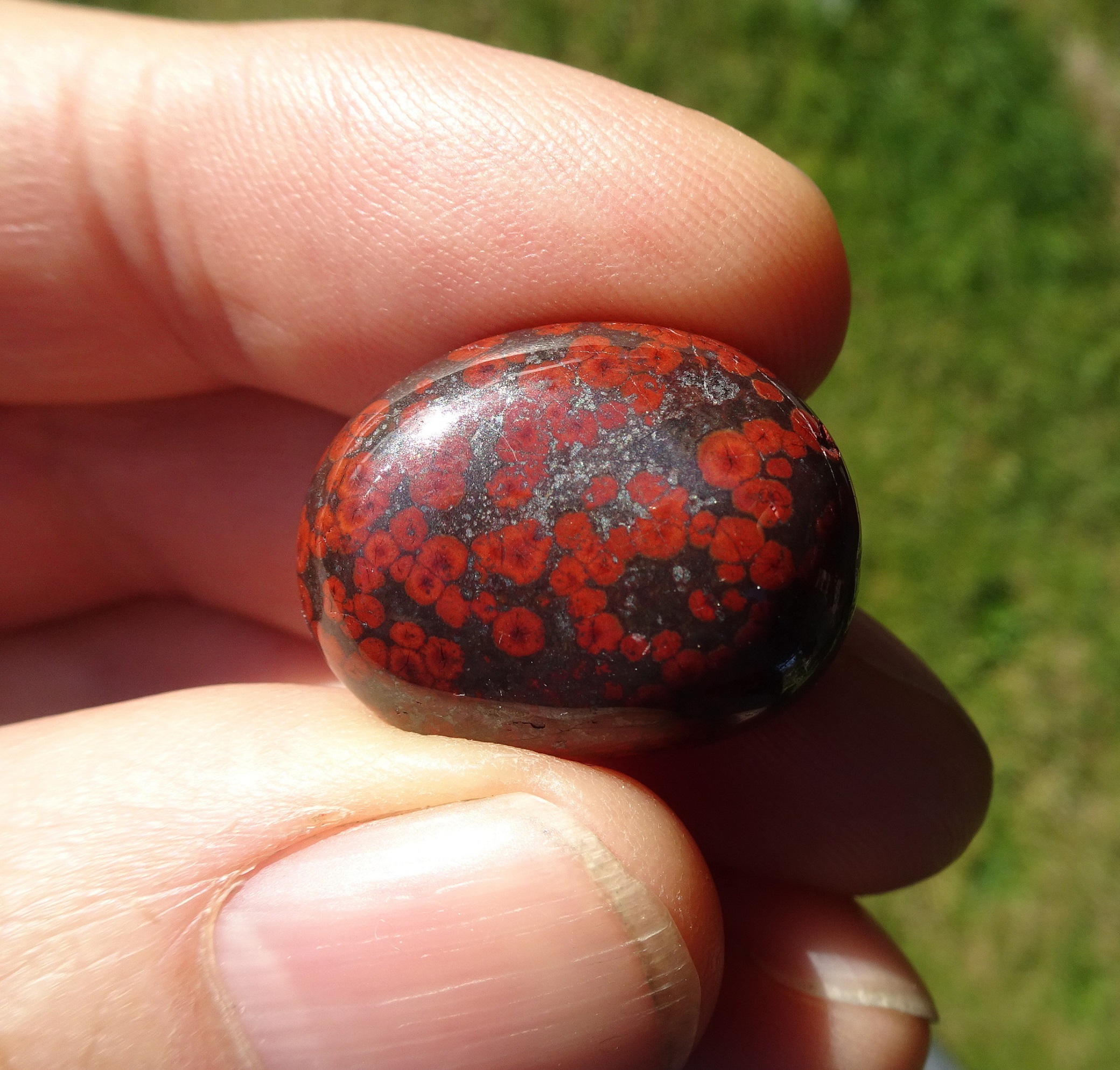 A small orbicular hematite jasper from Gemstone Beach, Orepuki.