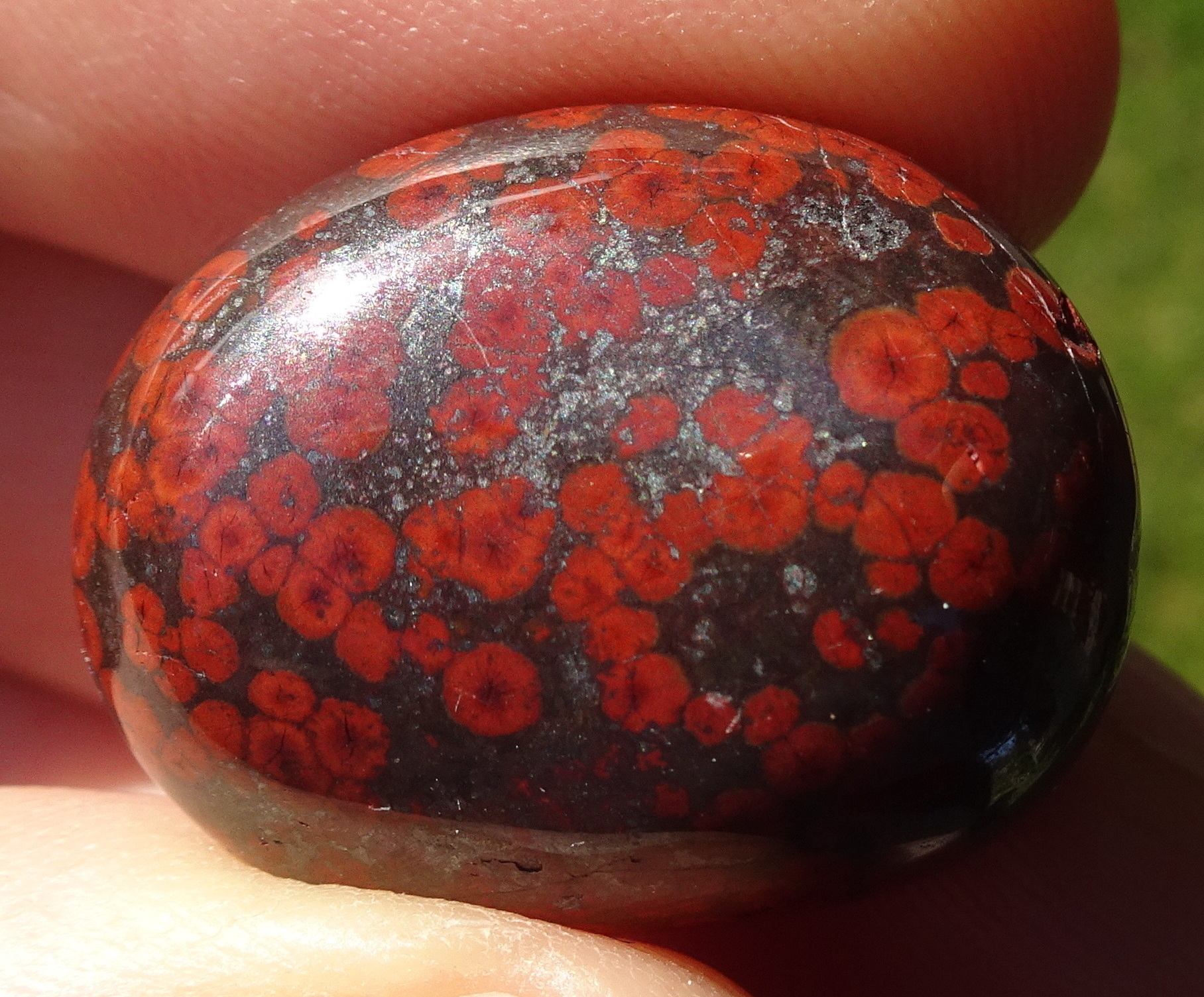 O is for Opaque Orepuki Orbicular Jasper