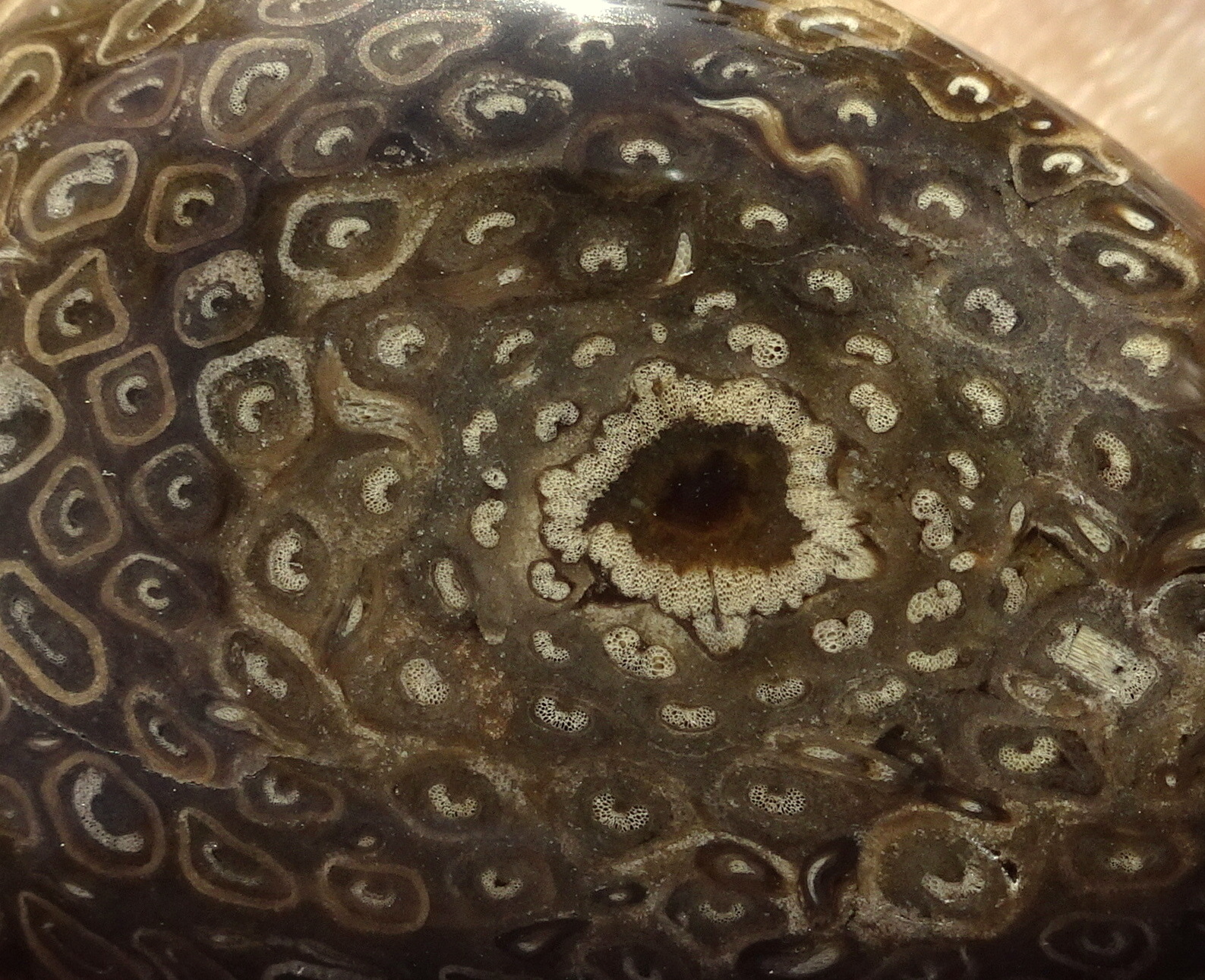 03bzz