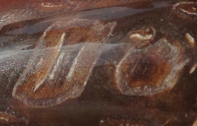 22bzz