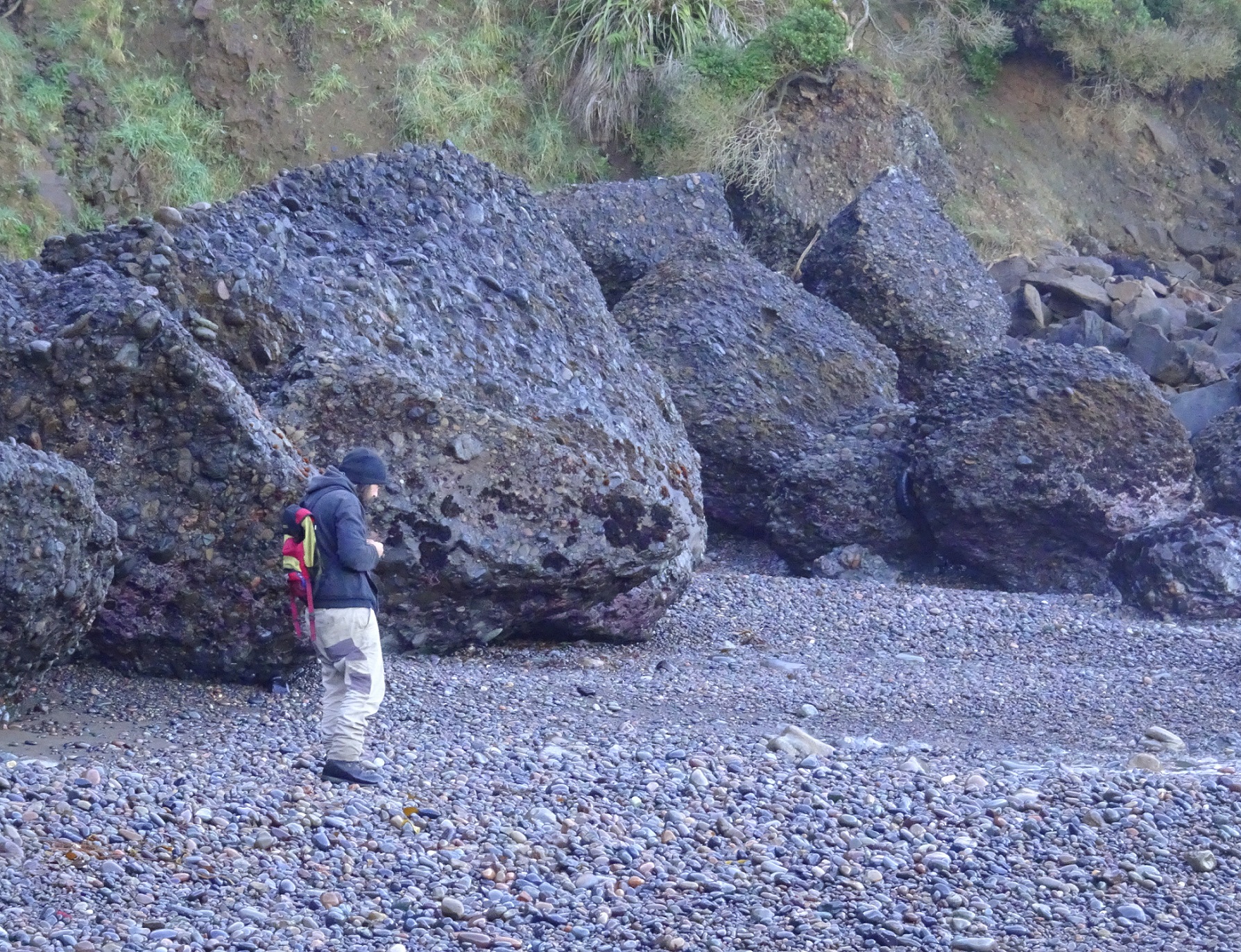 Oliver on a Slope Point beach, in winter.