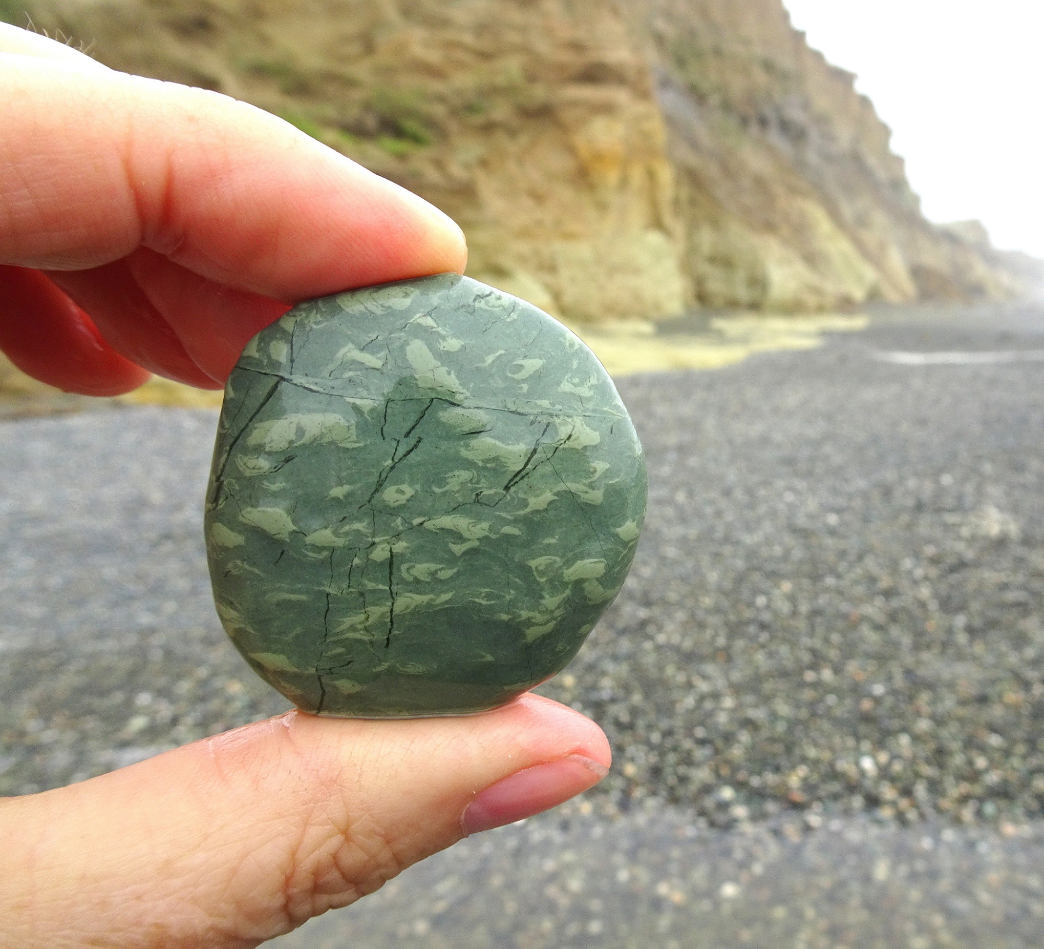 "Unusual" because of the sheer number of small trace fossils in the stone.