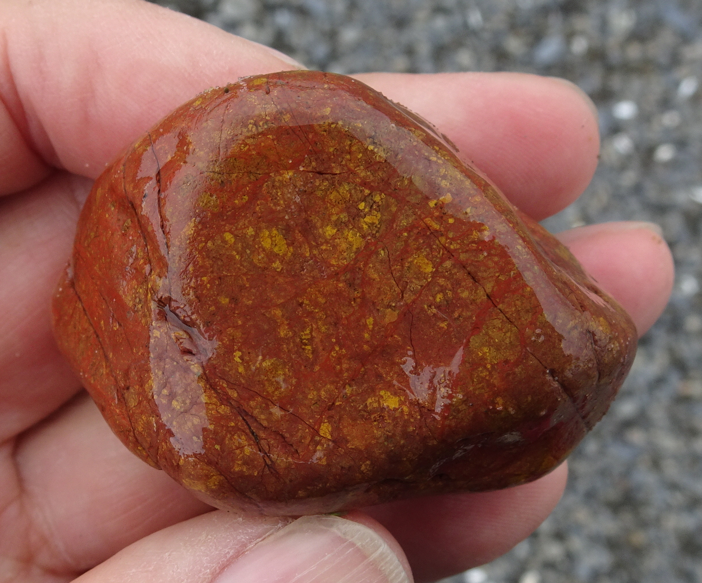 Leithfield Beach Jasper - August