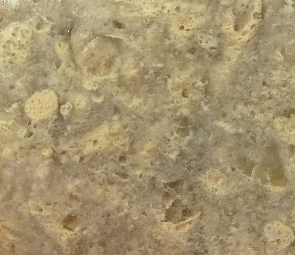 11bzz2