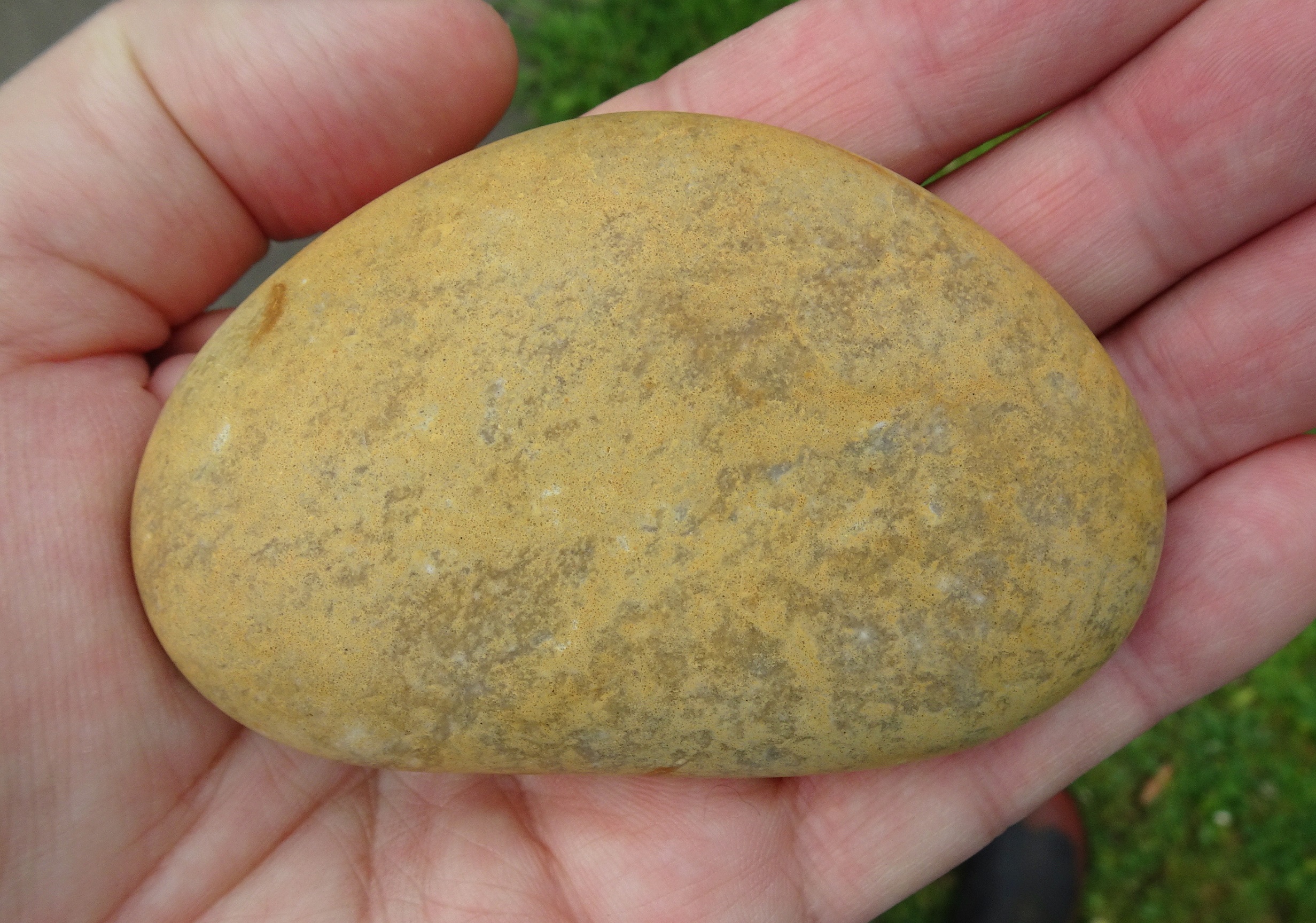 Yellow Kakanui quartzite 9 cms long, just out of a 400 grit tumble in a 4lb barrel.