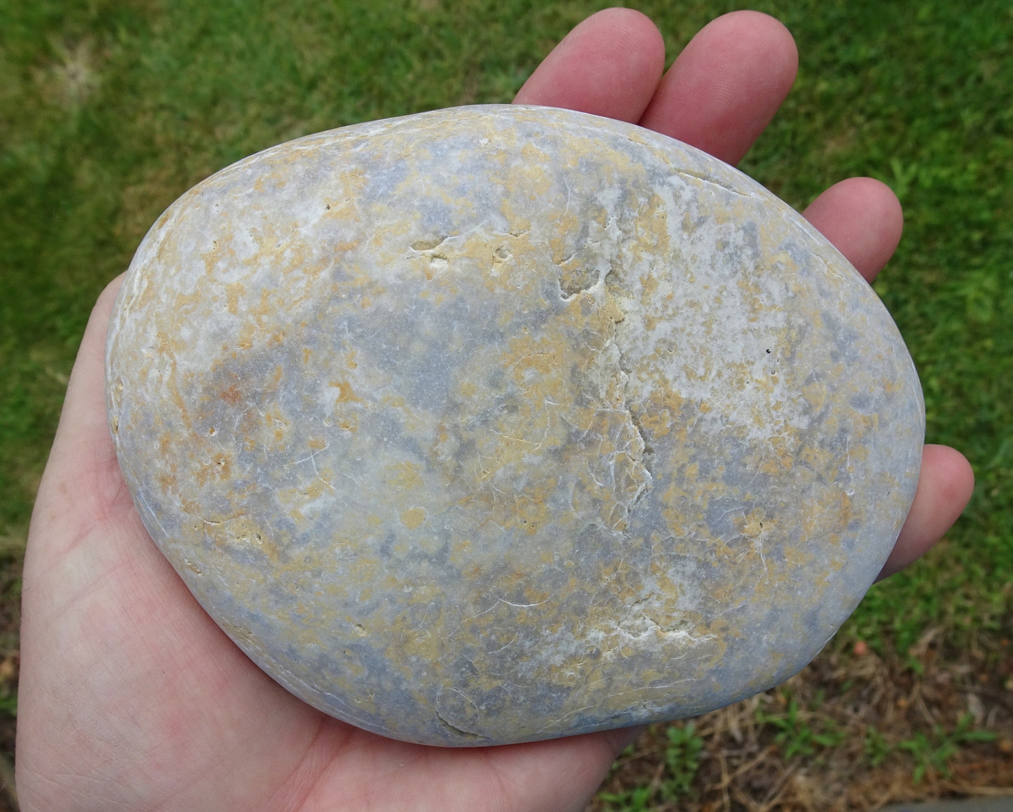 Kakanui quartzite, 13 cm long, dry, too big to tumble.