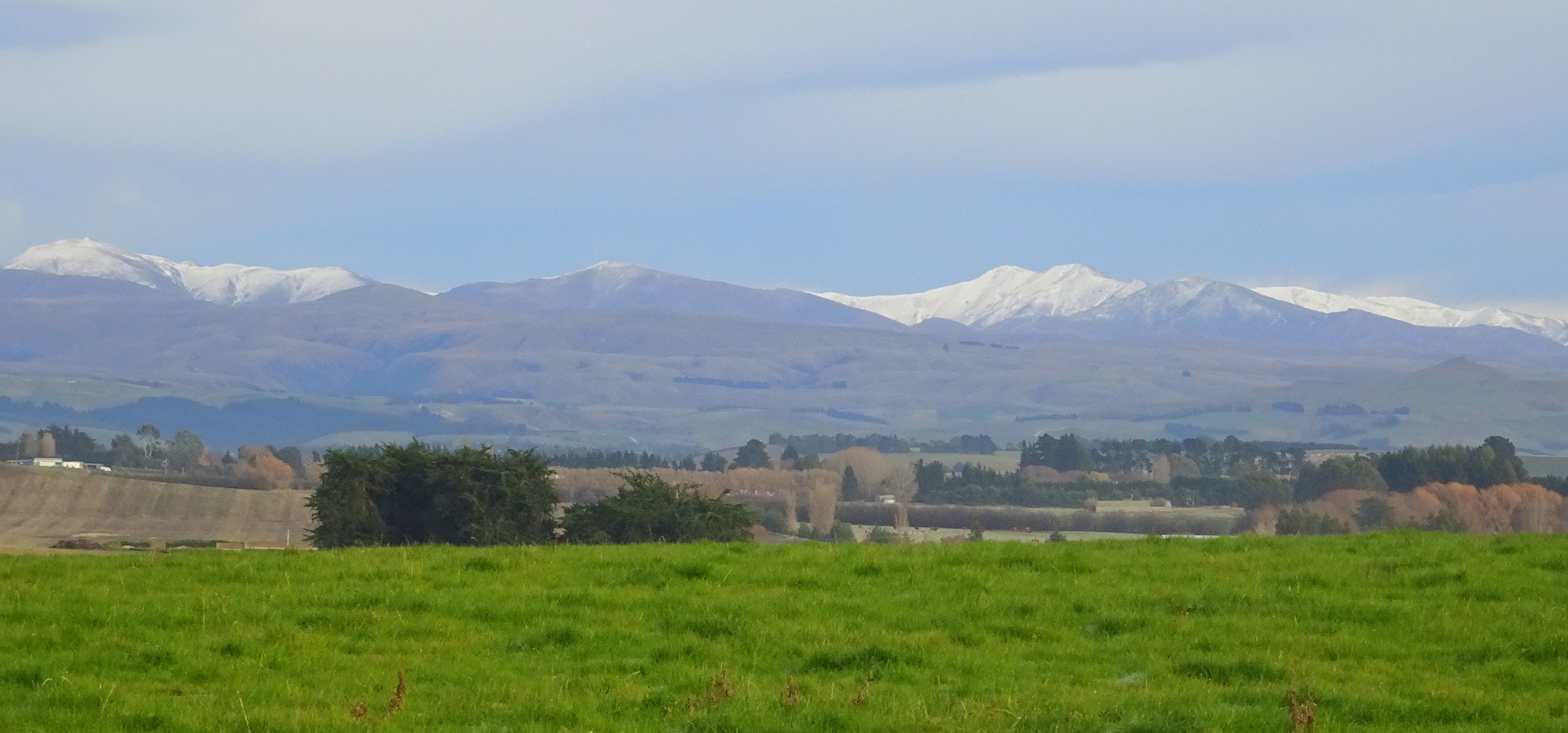 Backdrop to Kakanui, June 2020.