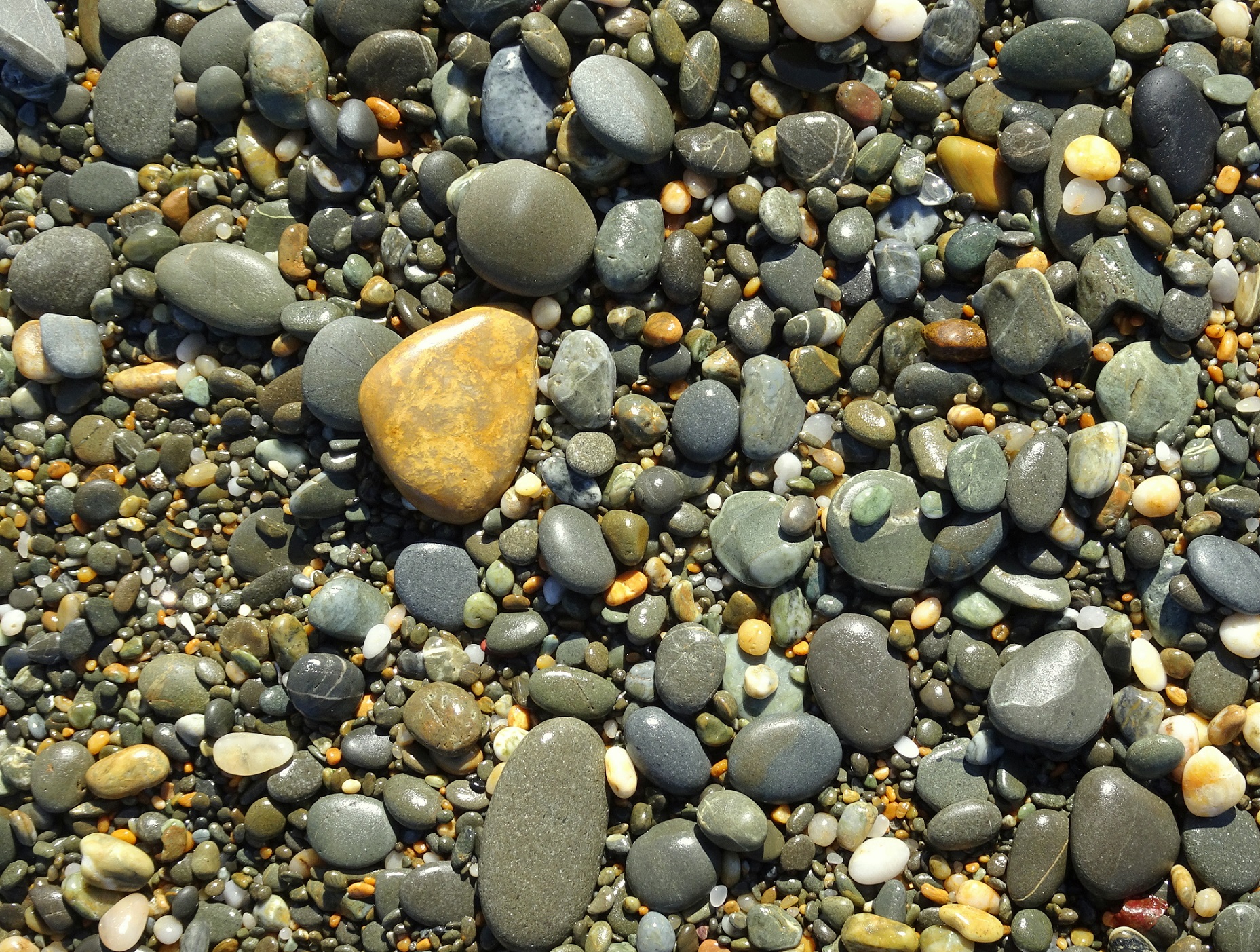 Yellow quartzite on a Kakanui beach.