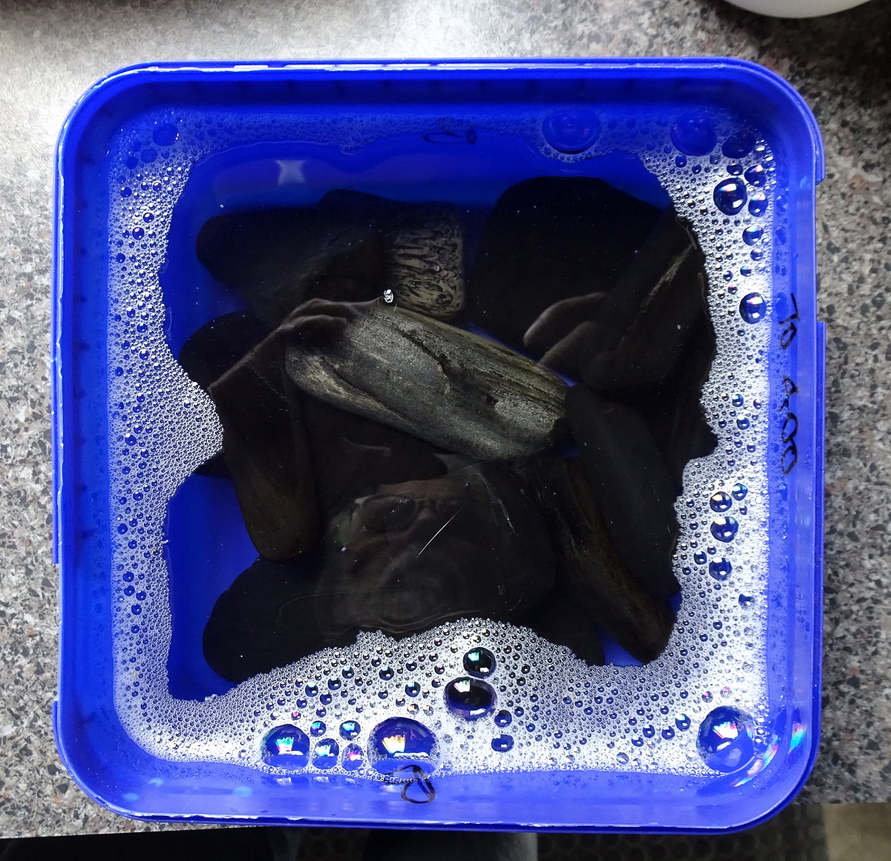 Placing the stones in the diluted bleach solution.
