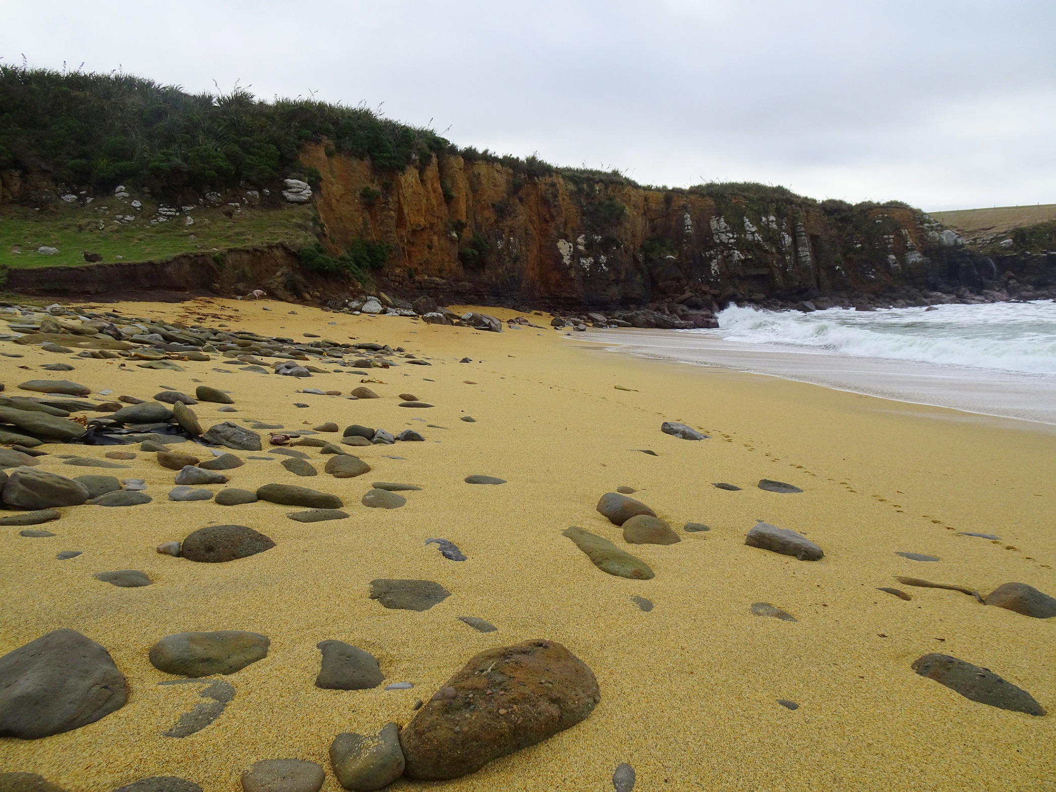 Looking towards the cliffs today, a lack of pebbles.
