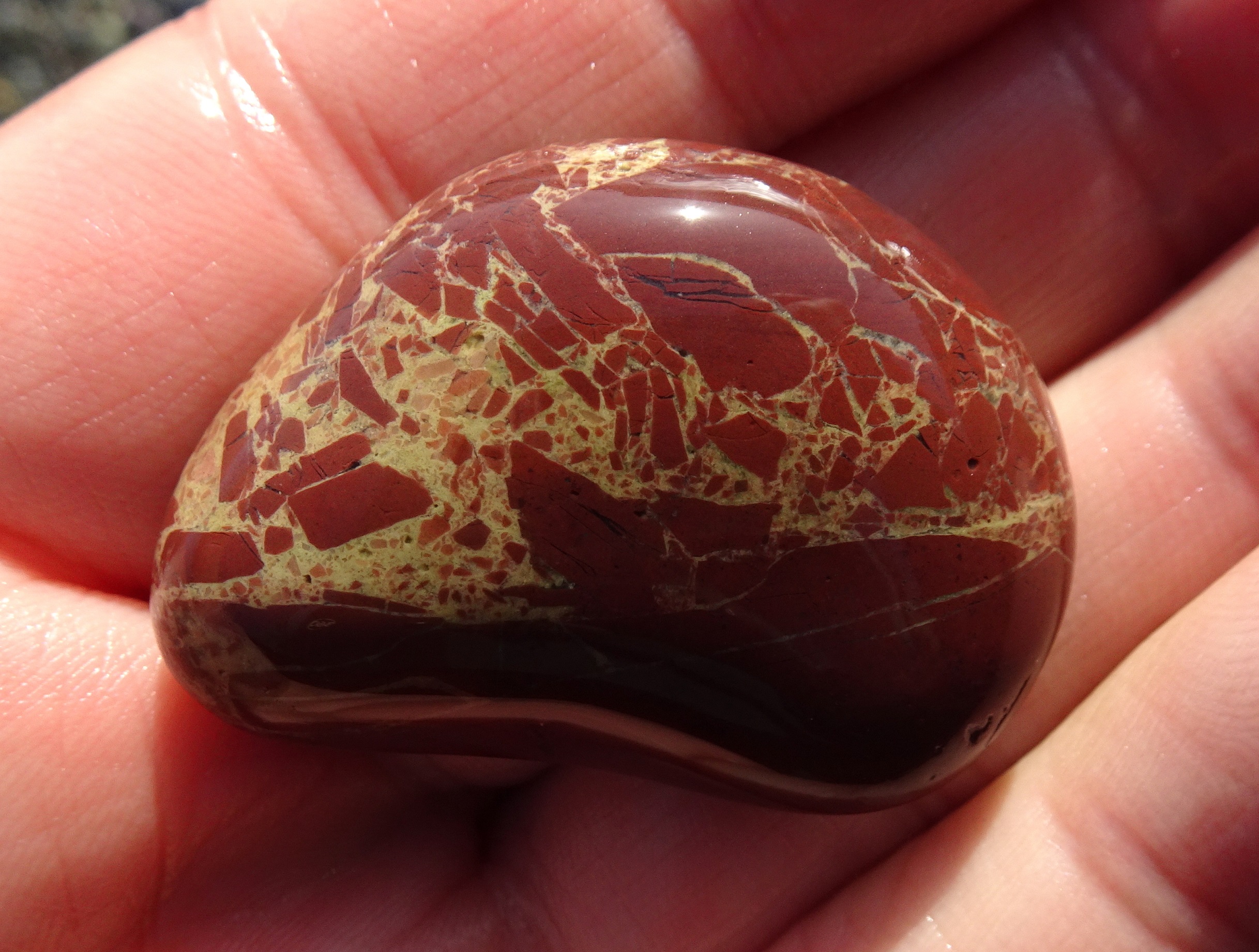 The stone of the day, a small brecciated jasper.